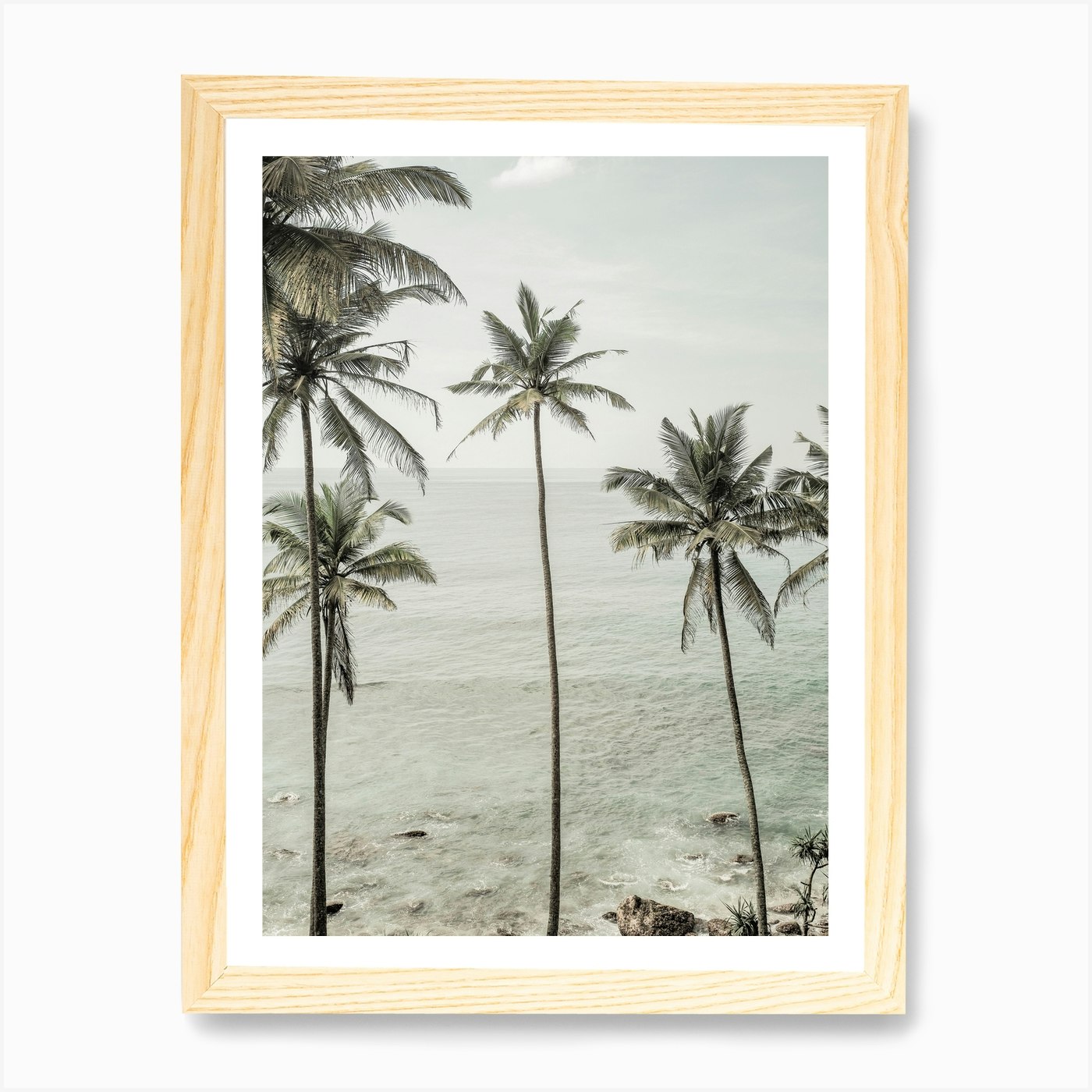 Tropical Dreams Art Print by Shot by Clint - Fy