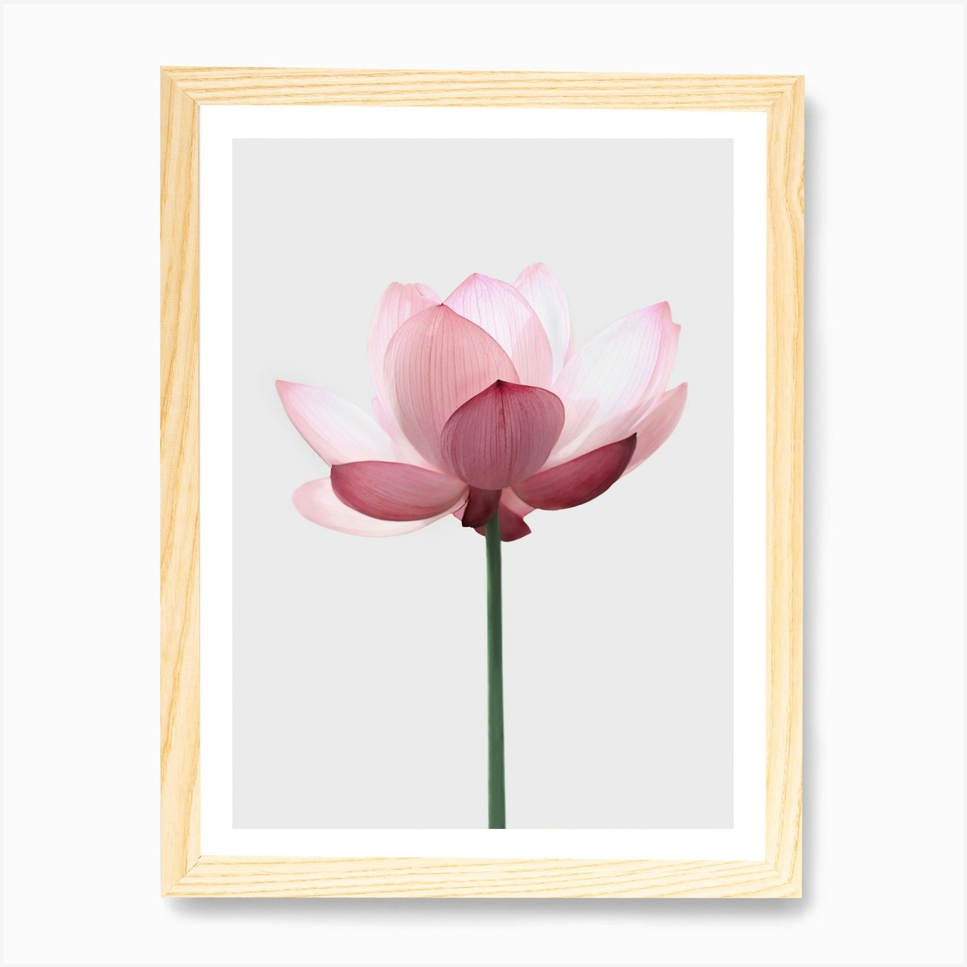 Lotus Flower Art Print by Sisi and Seb - Fy