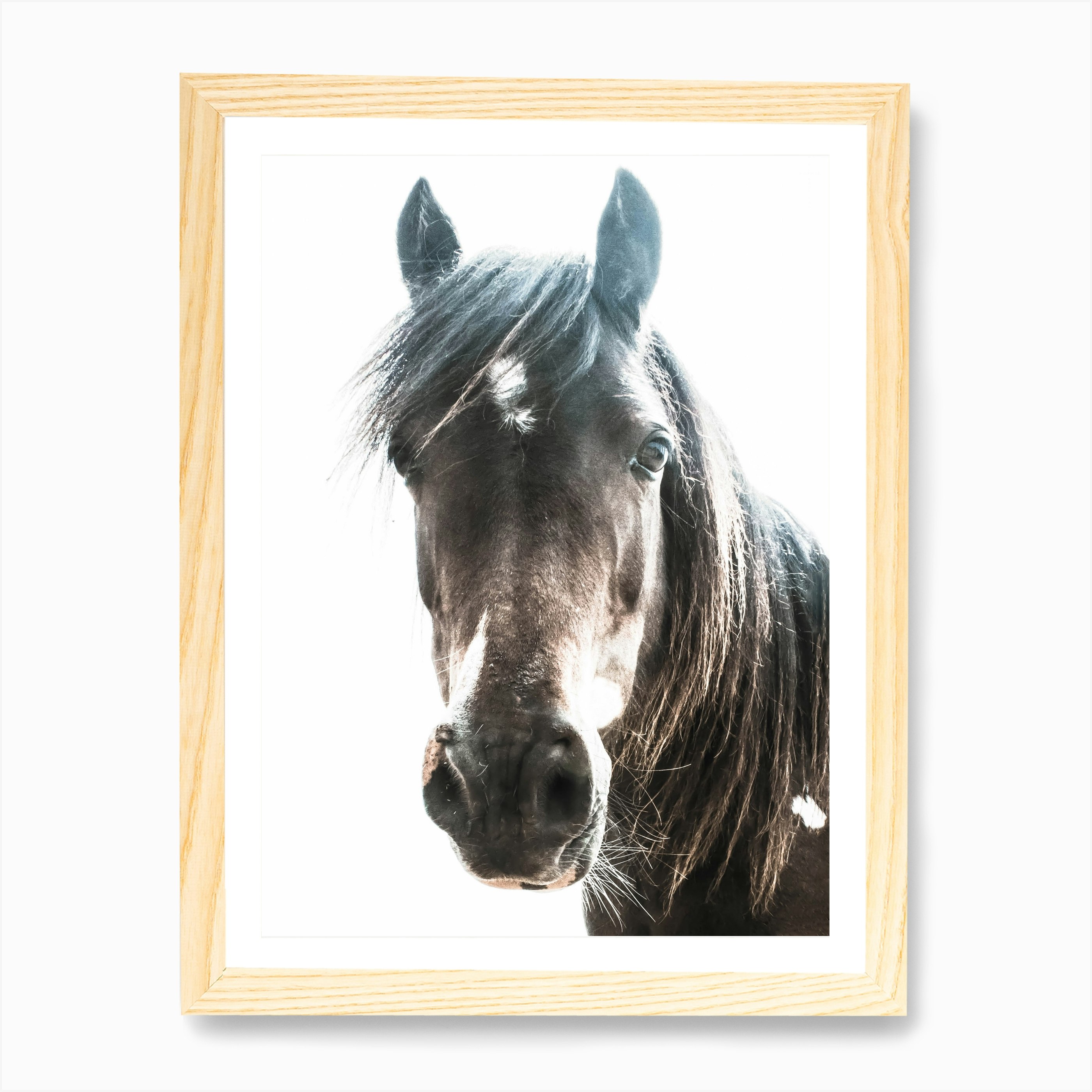 Horse Art Print | Free Shipping | Fy