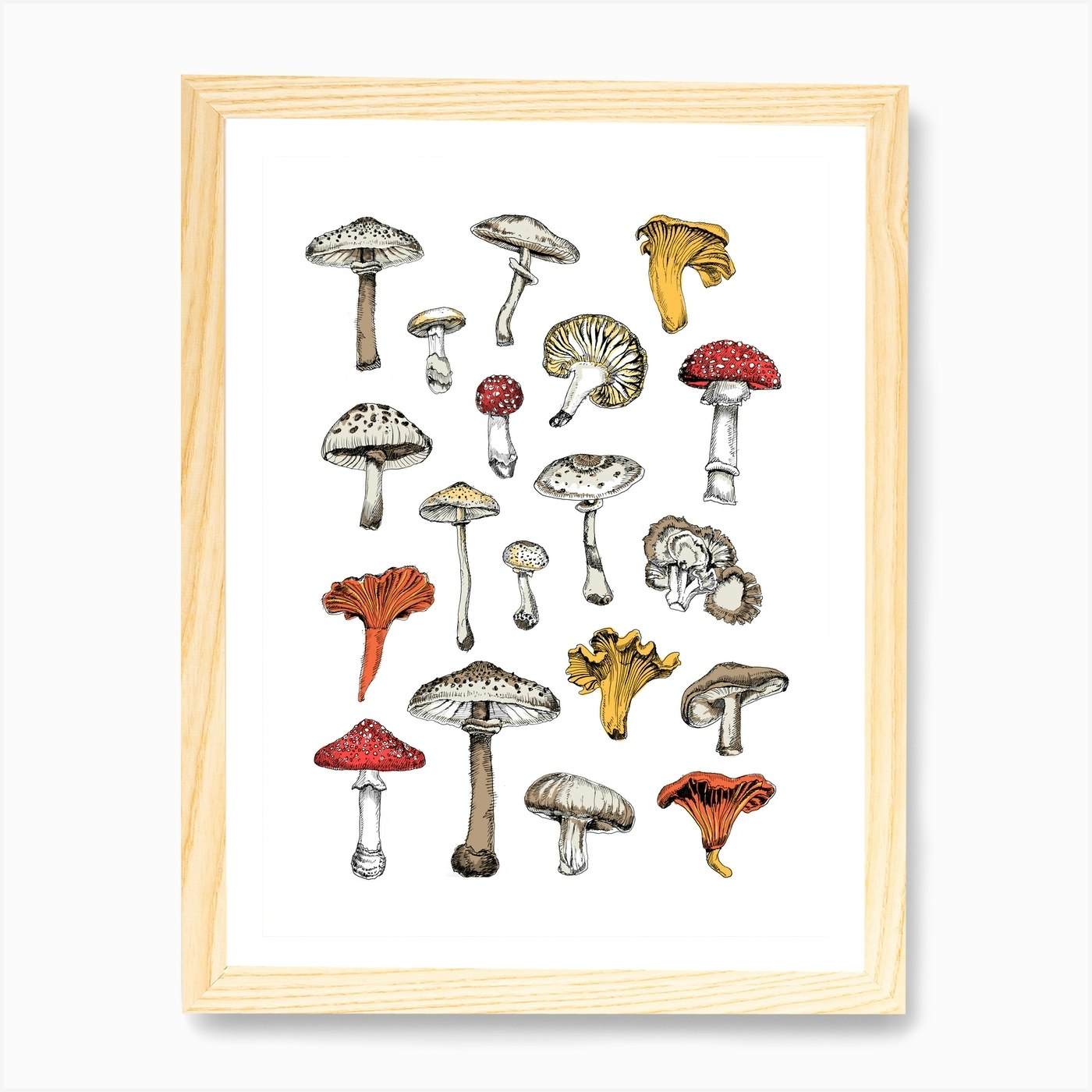 Funghi Art Print by Lola Star - Fy