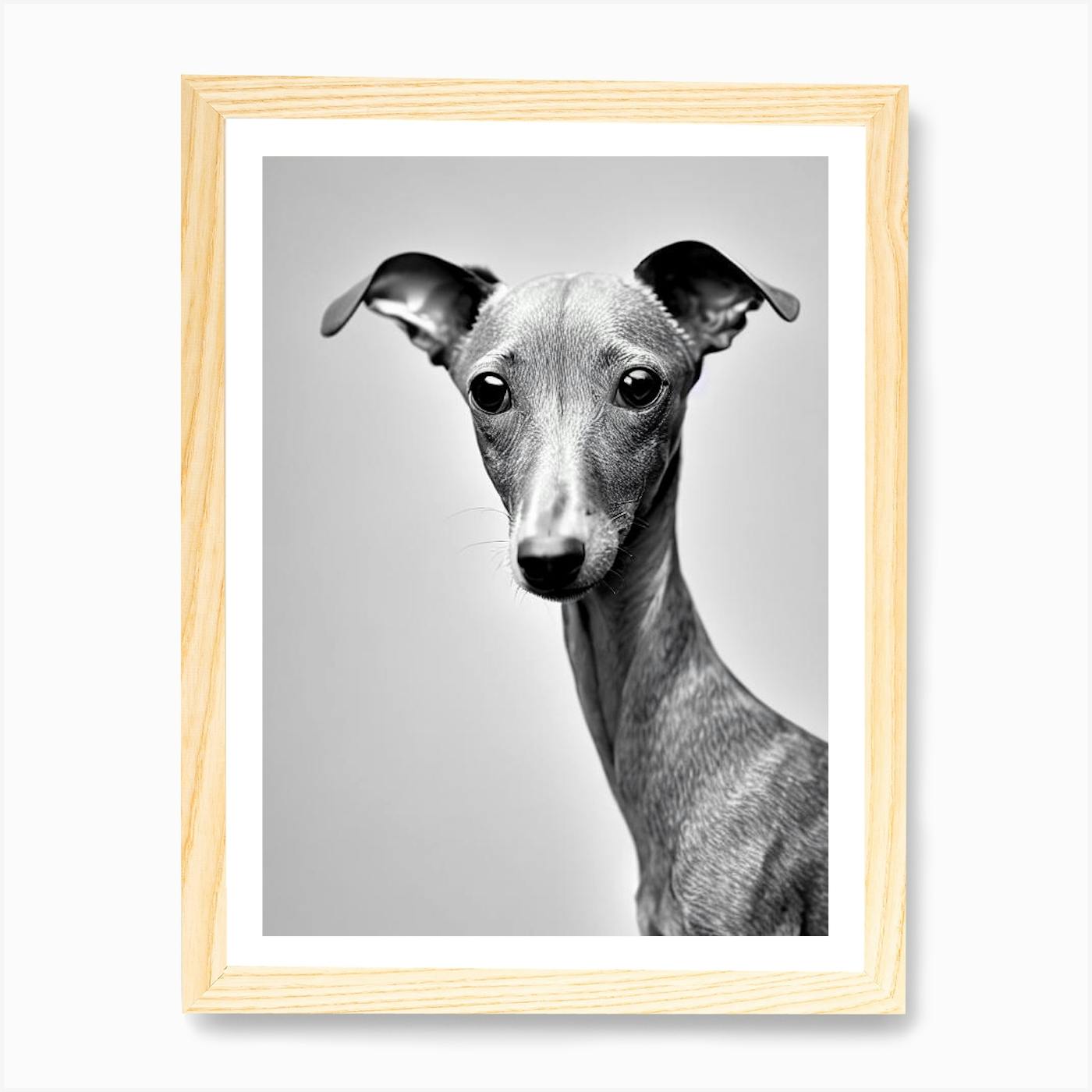 Italian store greyhound art