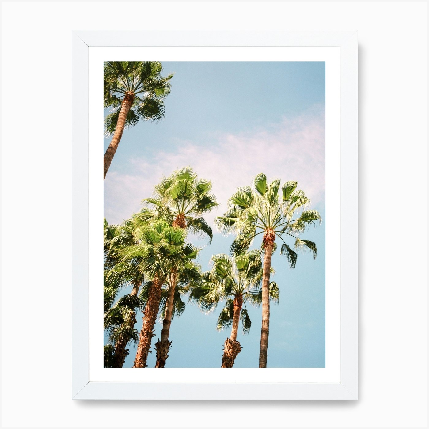 Palmtrees Of Morocco Art Print by Raisa Zwart Photography - Fy