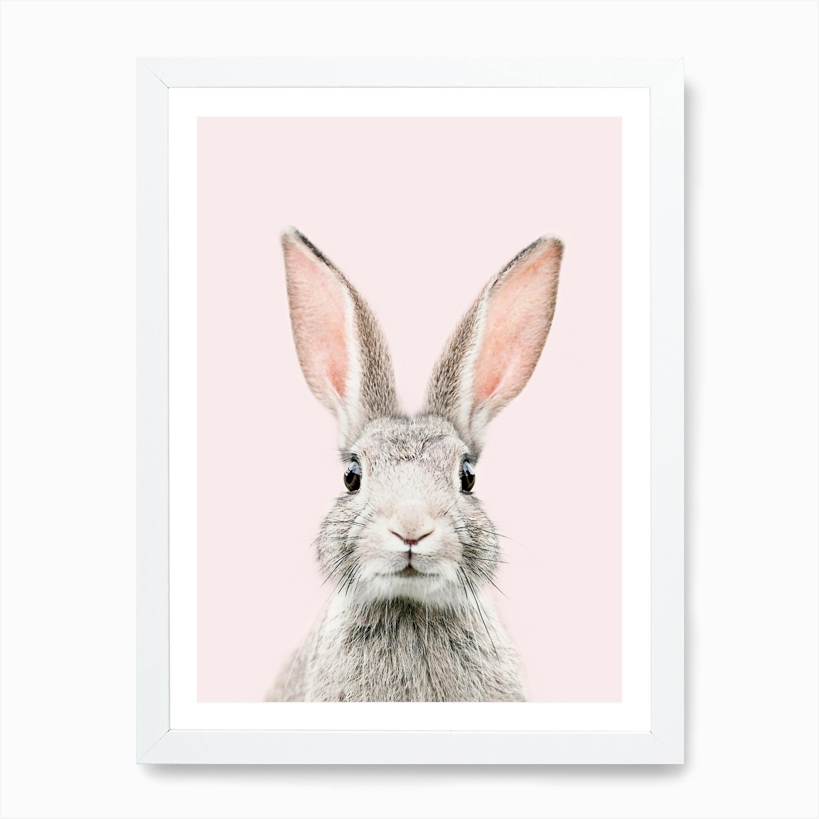 Bunny Face Blush Art Print by Sisi and Bunny Face Canvas Print by Sisi and Seb