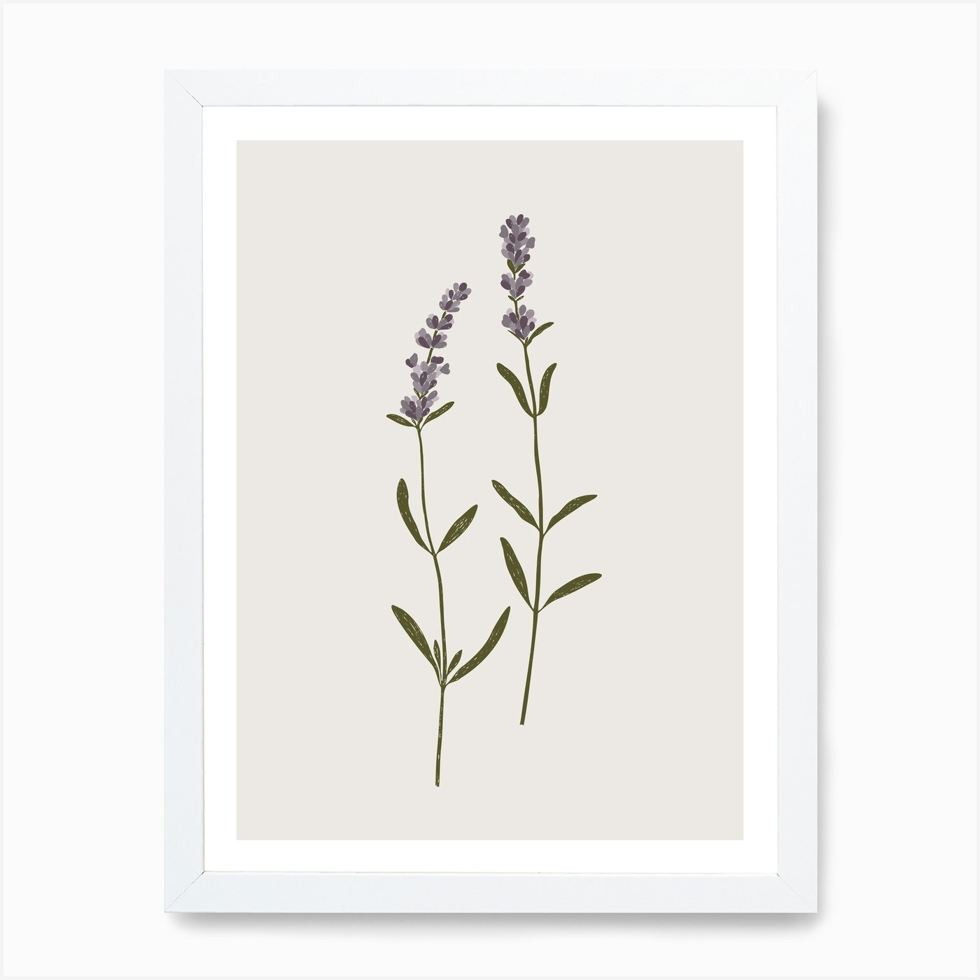 Sprigs Of Lavender Art Print by Gooseberry Moon - Fy