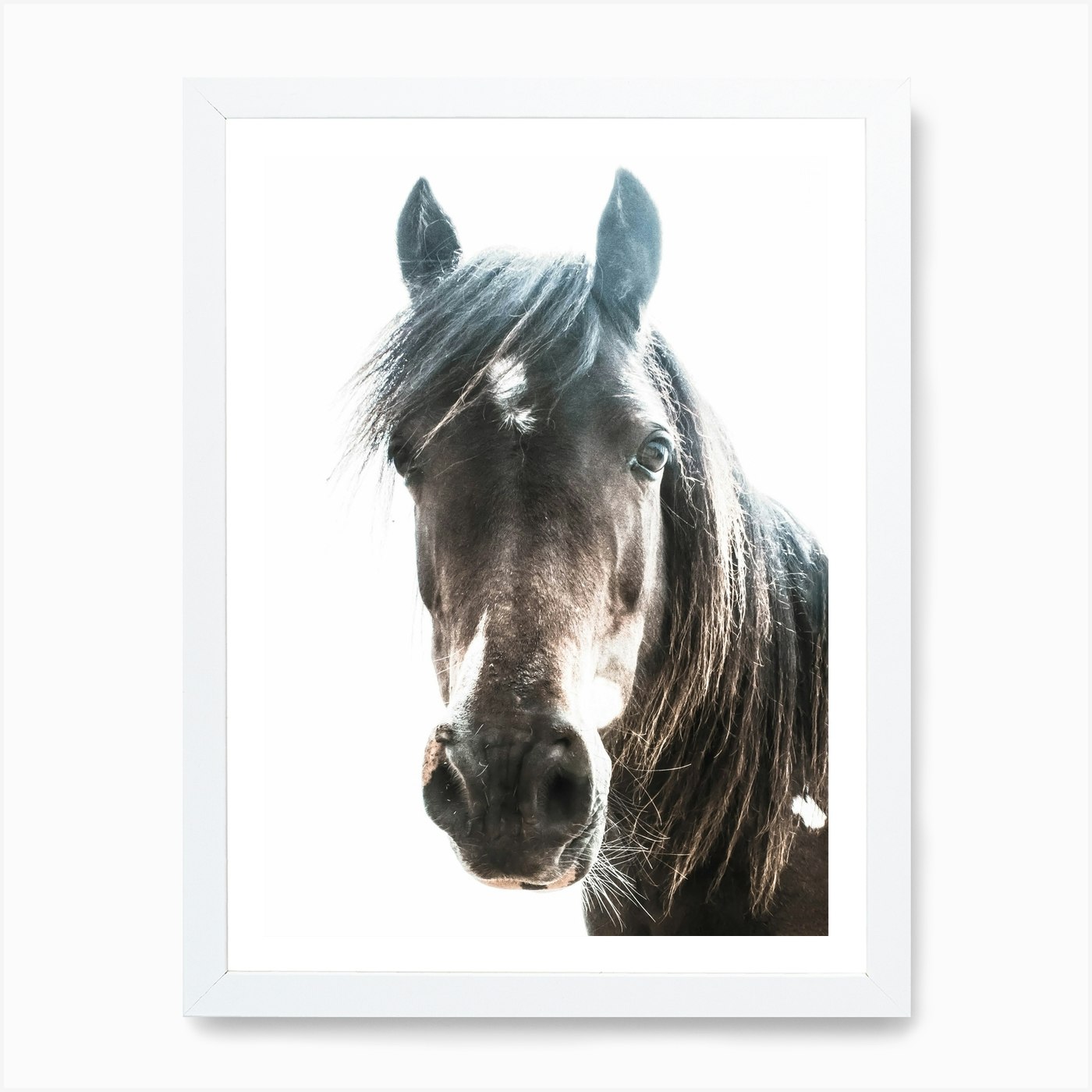 Horse Art Print by Victoria Frost - Fy