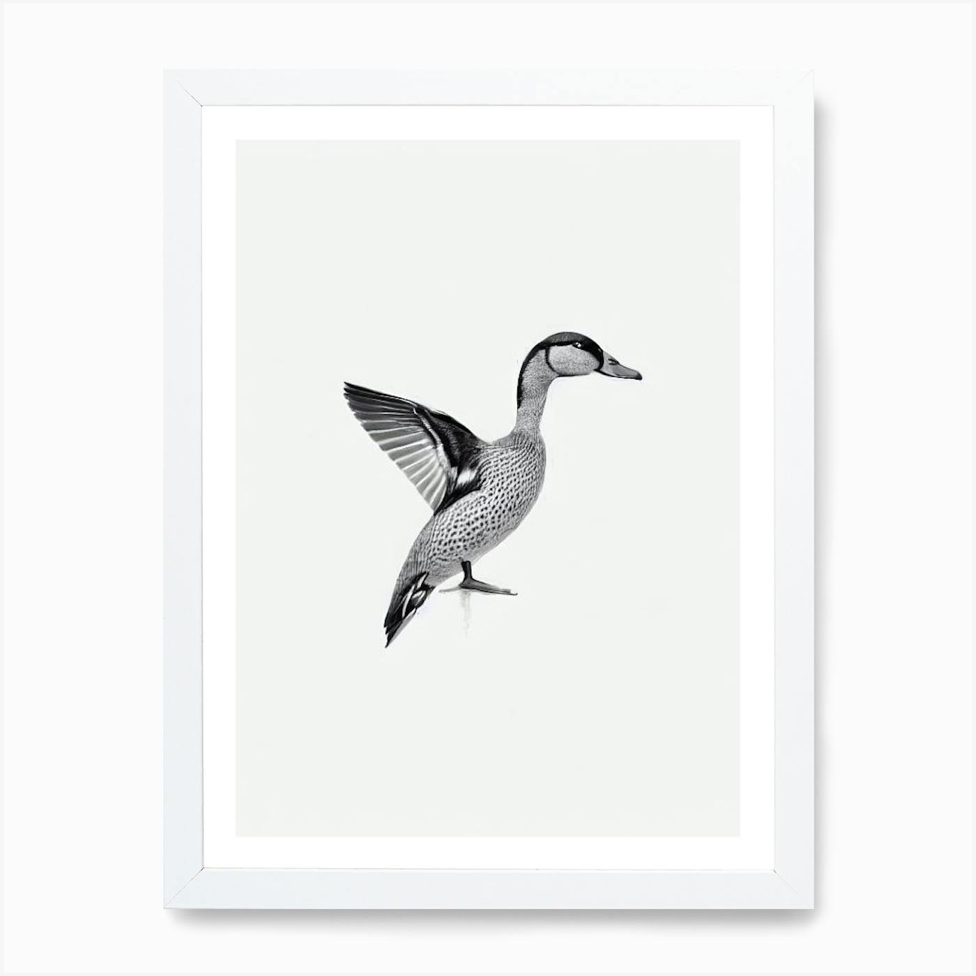 Share 150+ easy simple duck drawing latest - seven.edu.vn