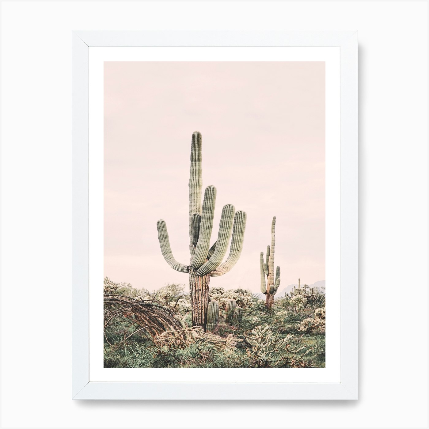 Blush Skies Cactus Art Print by Sisi and Seb Fy