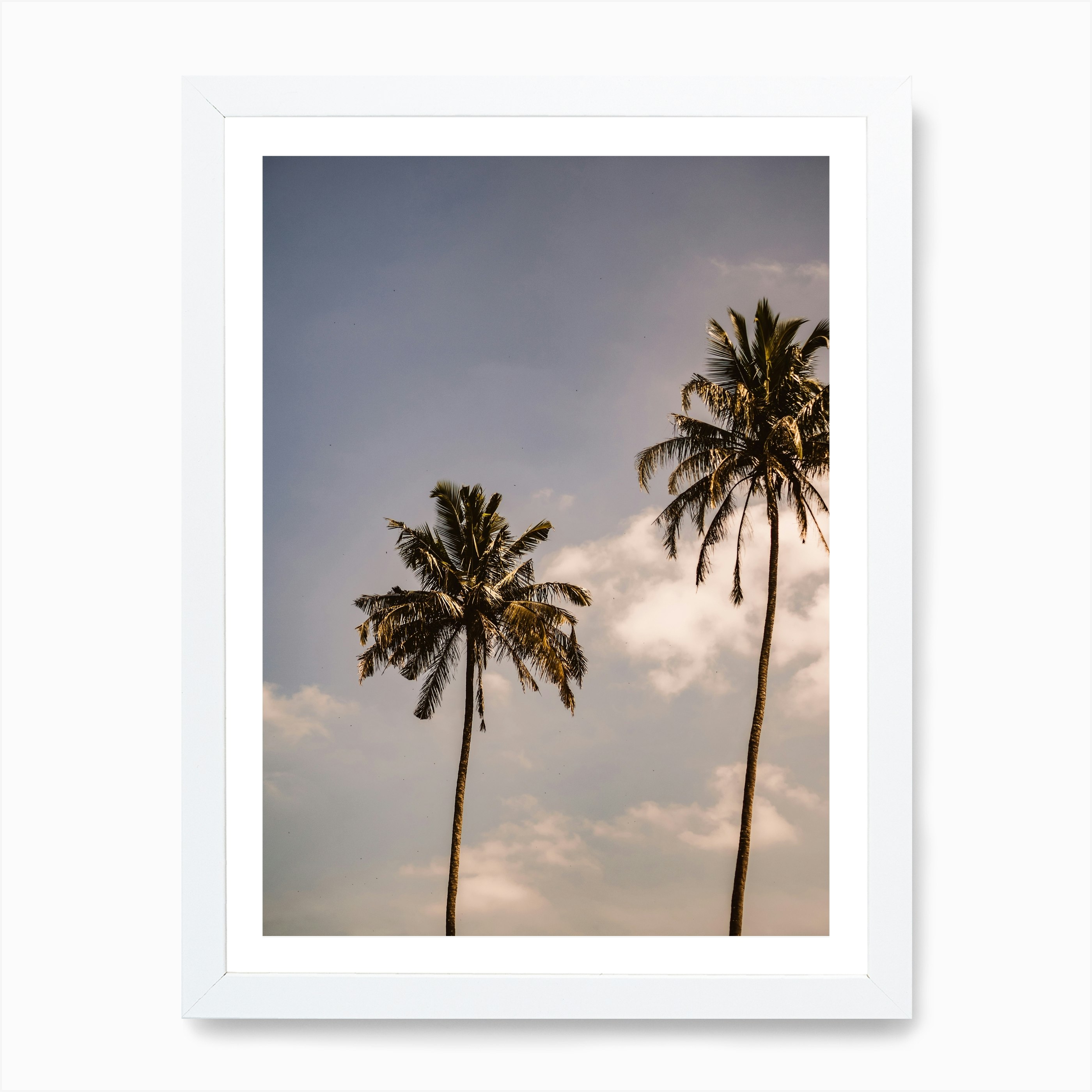 Palm Tree Art Print by Florian Schleinig - Fy