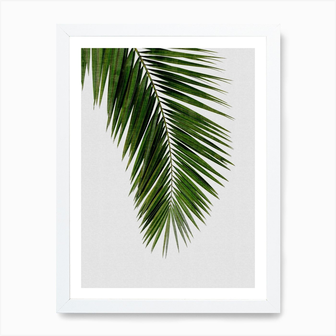 Palm Leaf I Canvas Print by Orara Studio - Fy