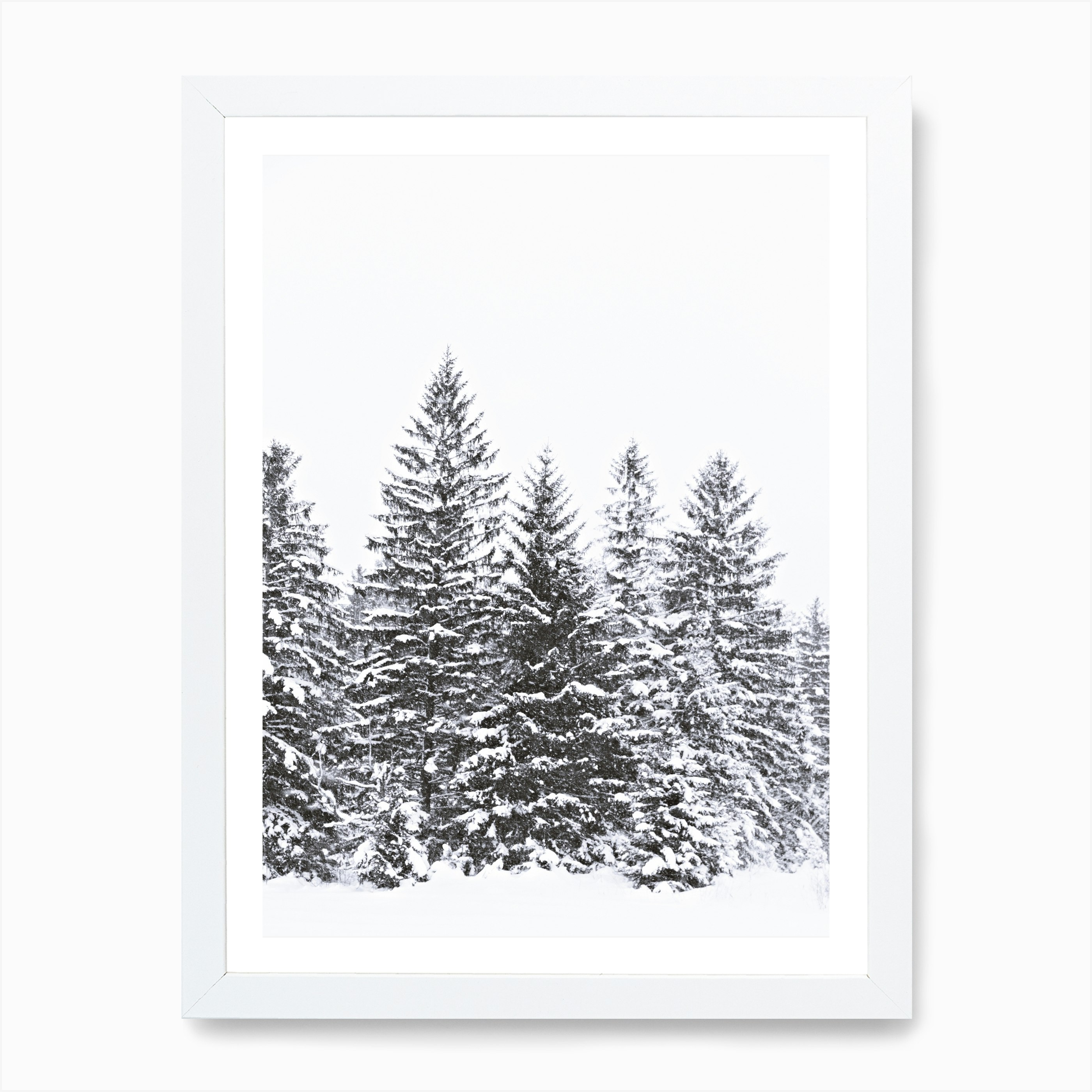 Black Winter Trees in Art Print by Monika Strigel - Fy