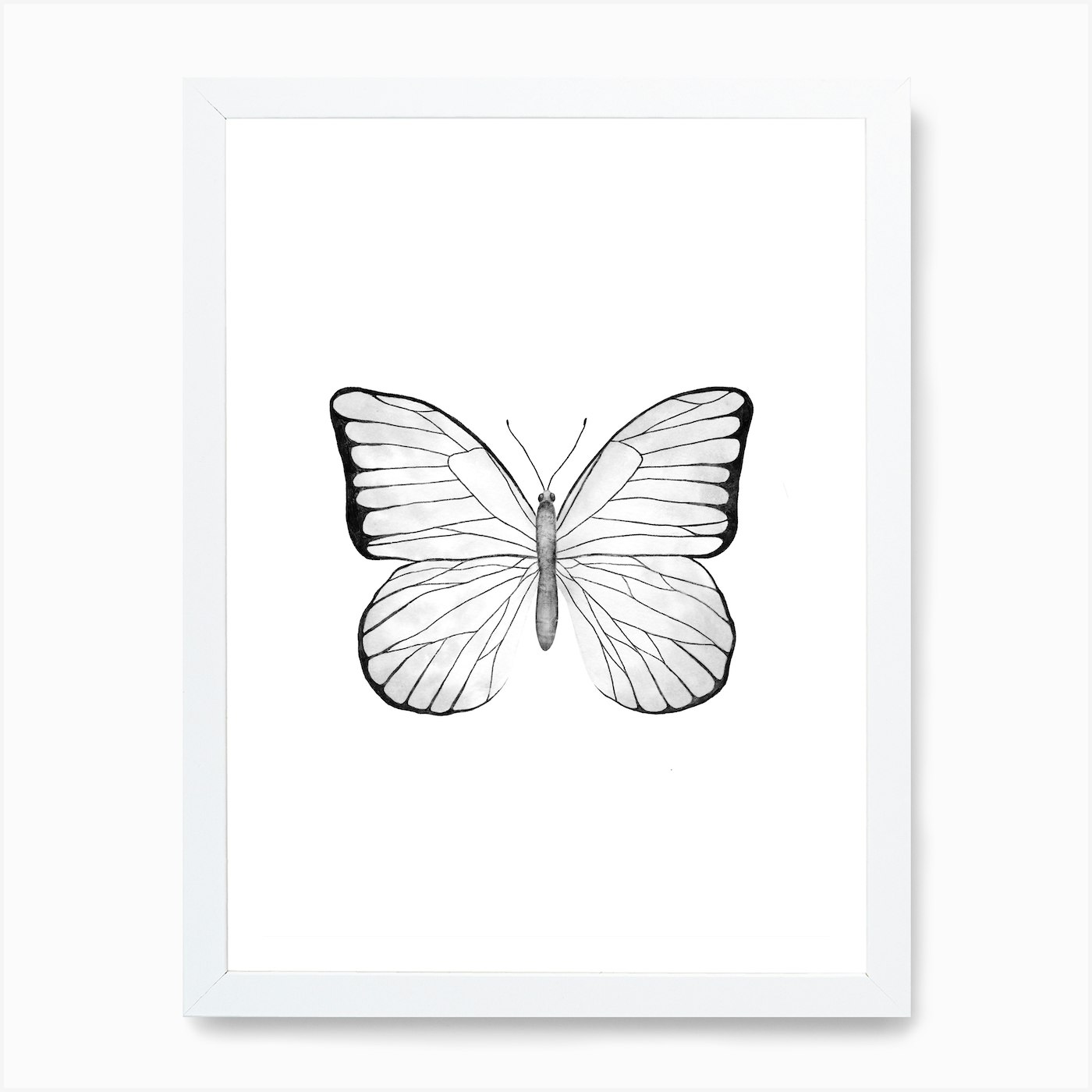 White Butterfly Art Print by Antonia Jürgens - Fy