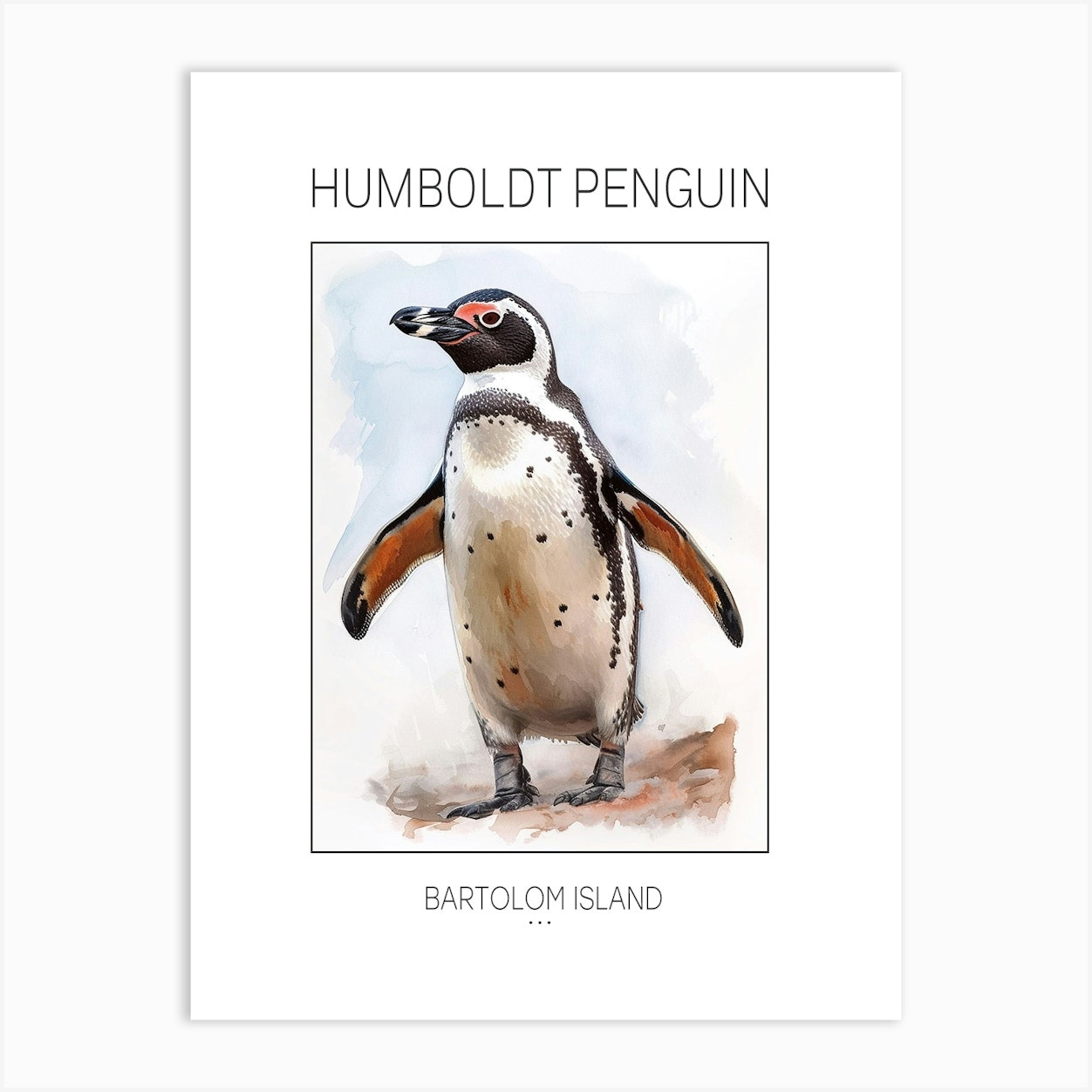 Humboldt Penguin Bartolom Island Watercolour Painting 2 Poster Art ...