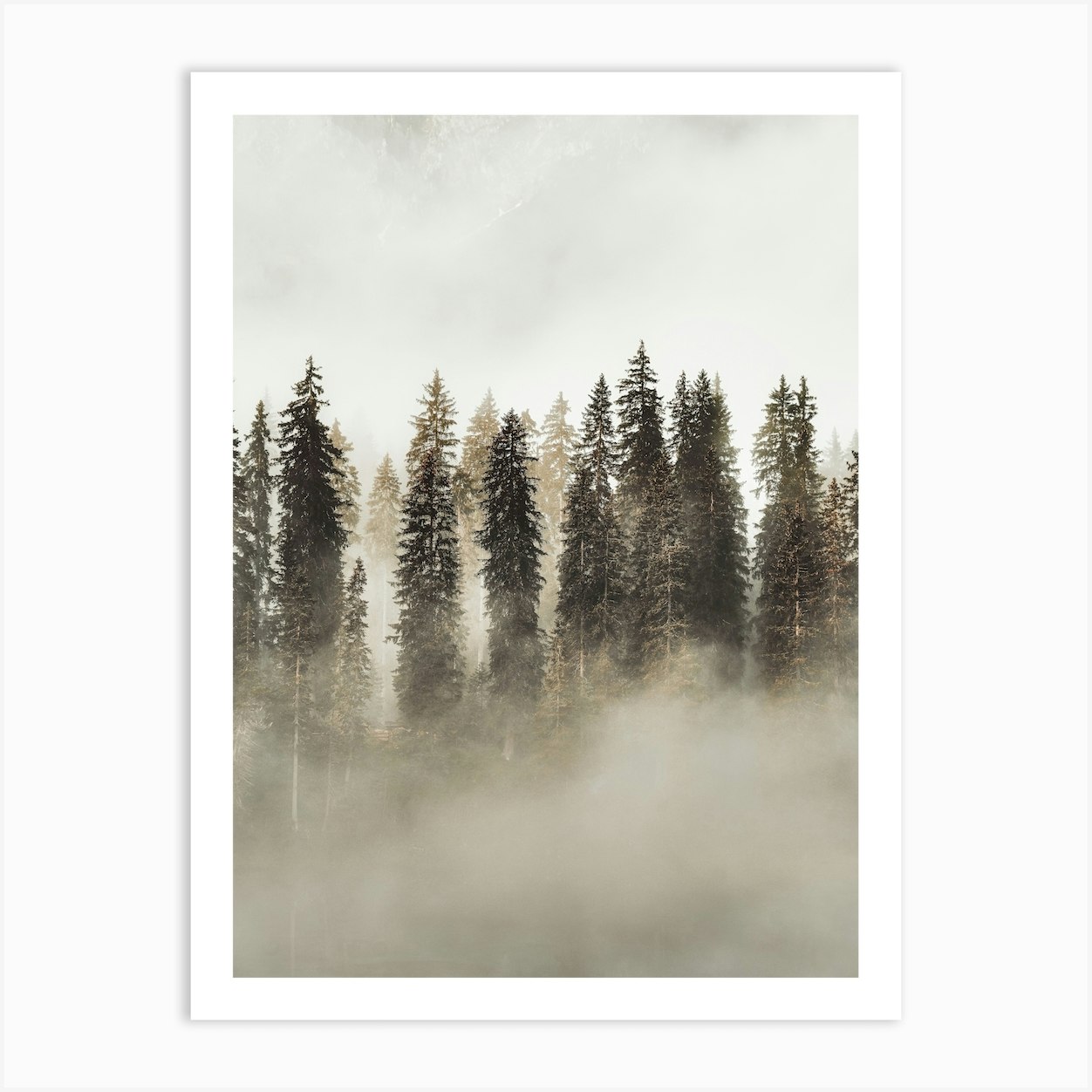 Misty Evergreen Trees Art Print By Boheme At Home - Fy