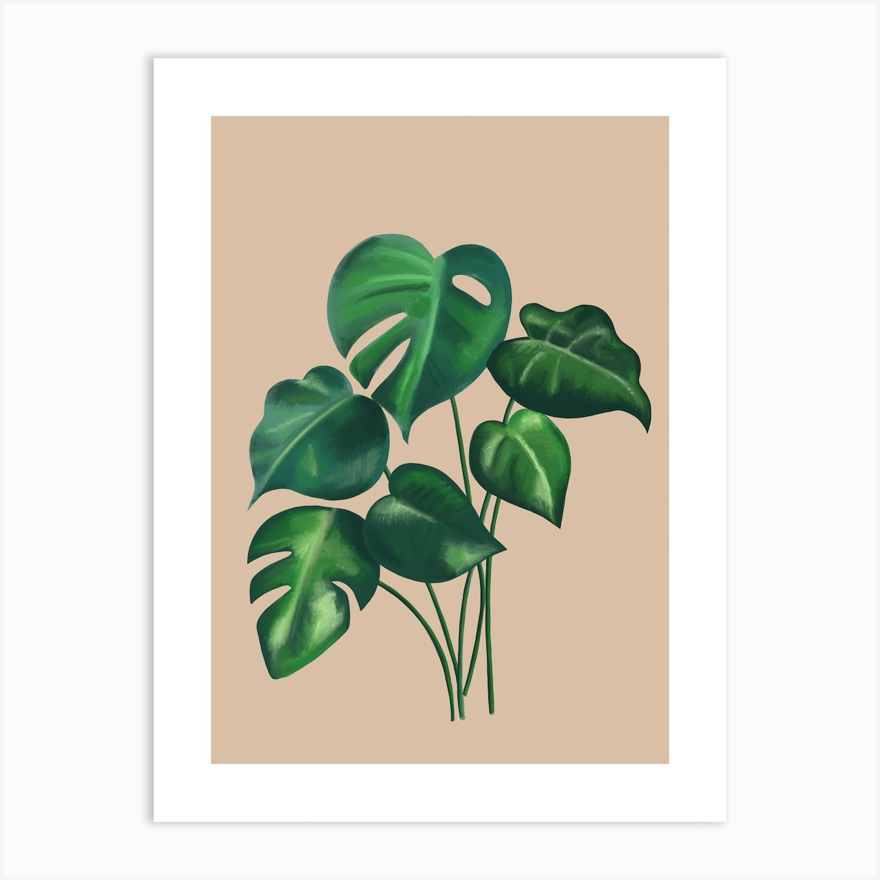 Monstera Art Print by Georgina Doodles - Fy