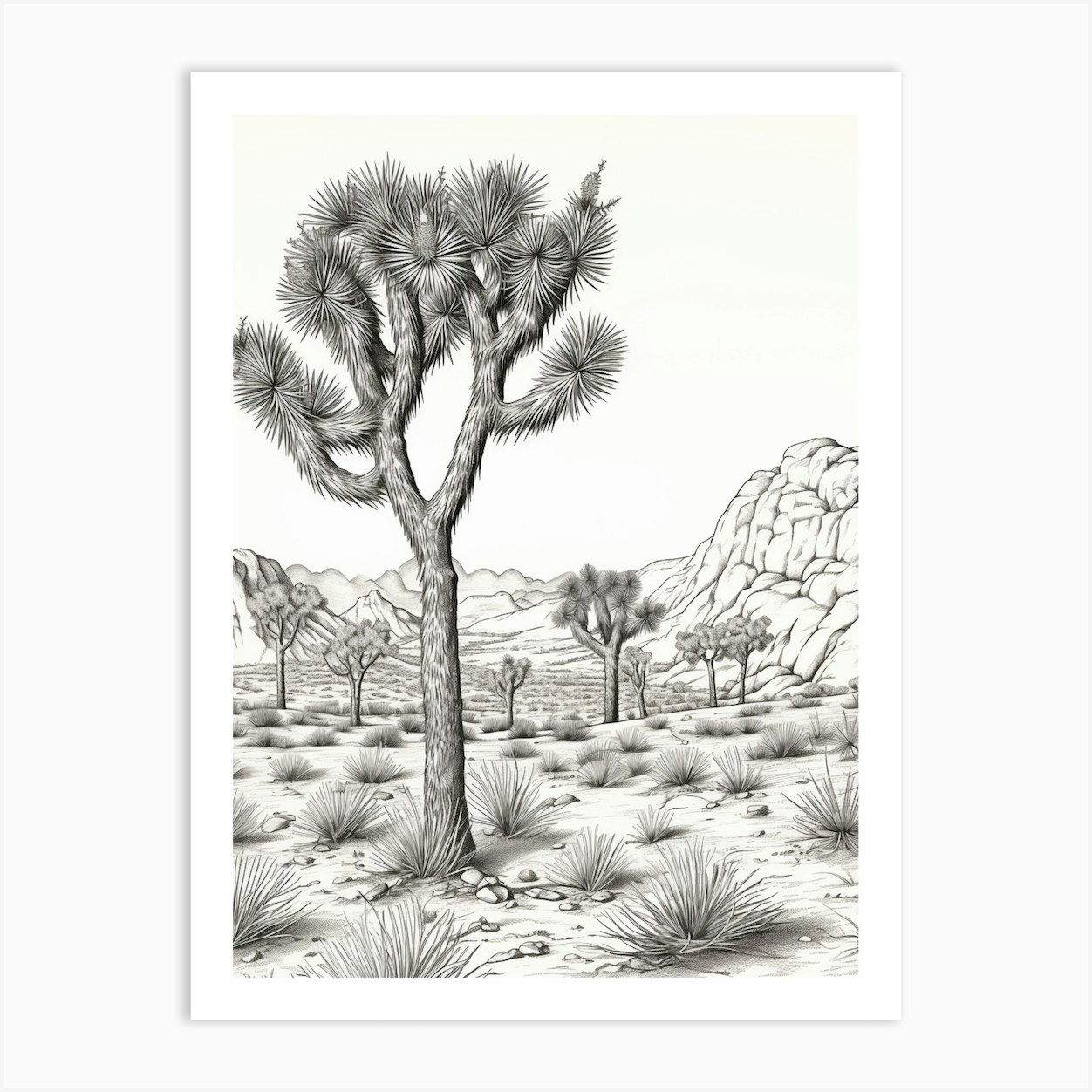 Detailed Drawing Of A Joshua Trees In Mojave Desert 1 Art Print by ...