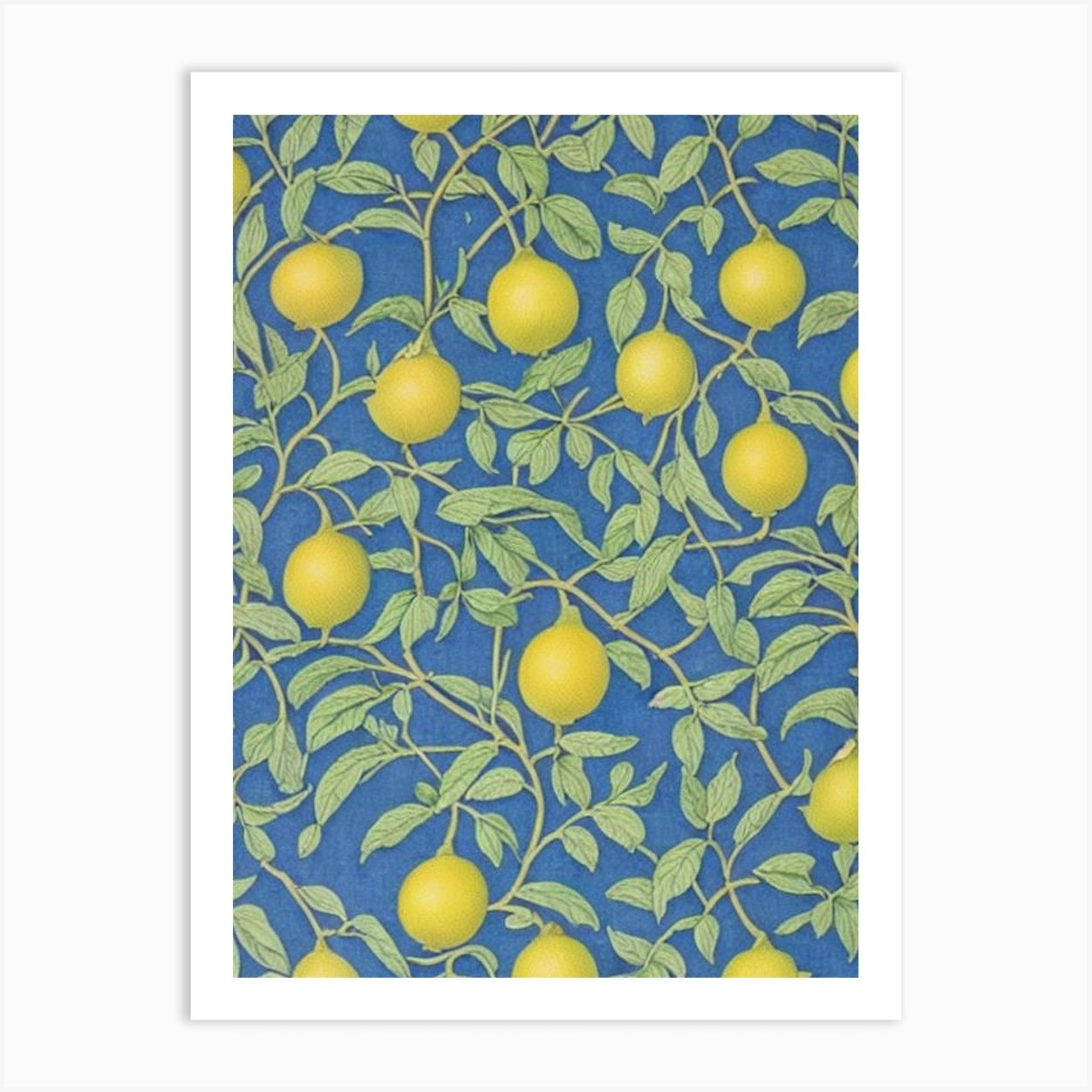 Lemon Vintage Botanical Fruit Art Print by The Fruitery - Fy