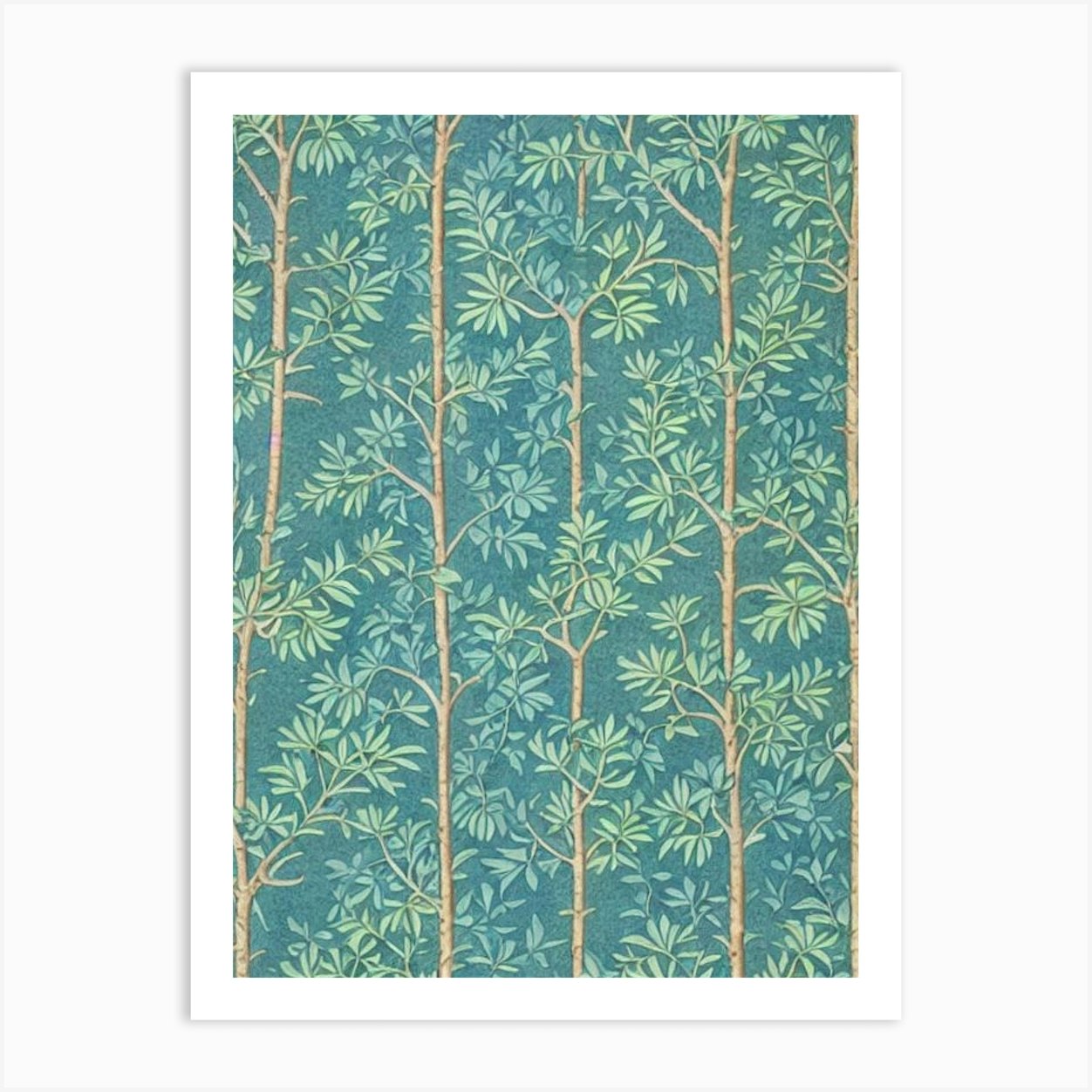 Juniper Vintage Botanical Art Print by Arboreal Impressions Fy