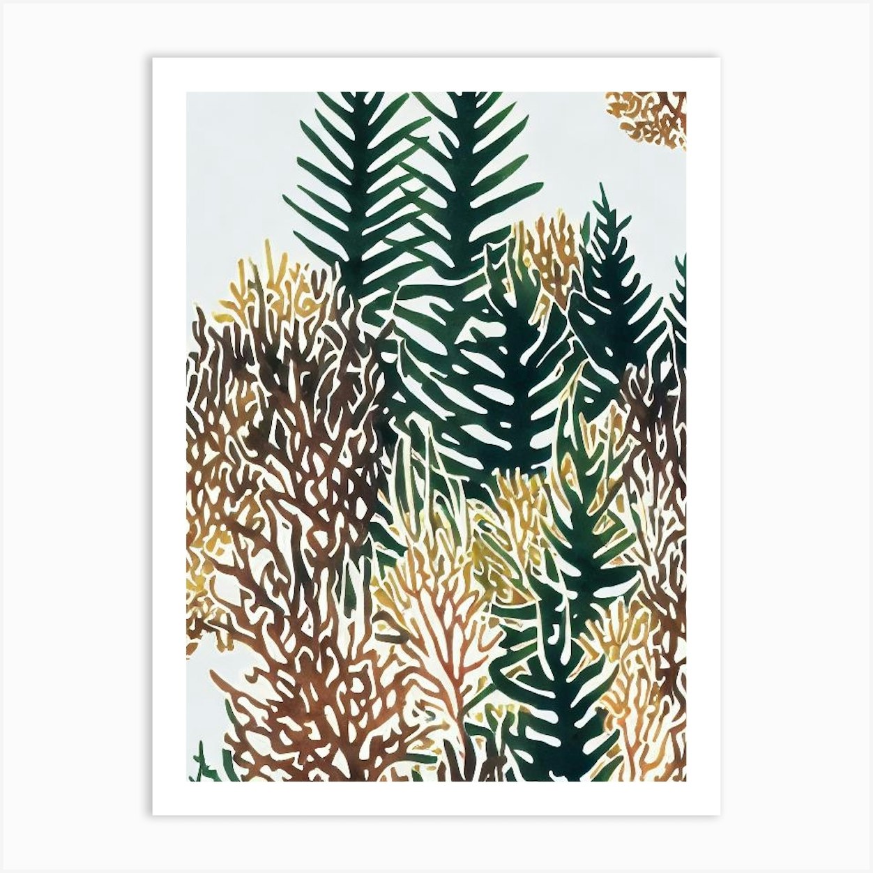 Acropora Intermedia 2 Vintage Graphic Watercolour Art Print by Reef ...