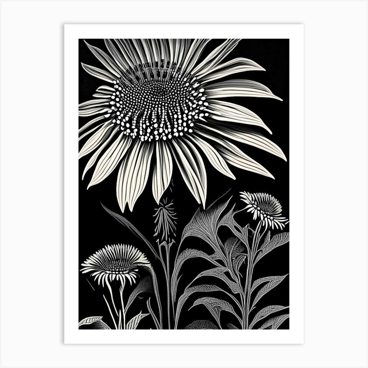 Coneflower Wildflower Linocut 1 Art Print by Wildflower Studio - Fy