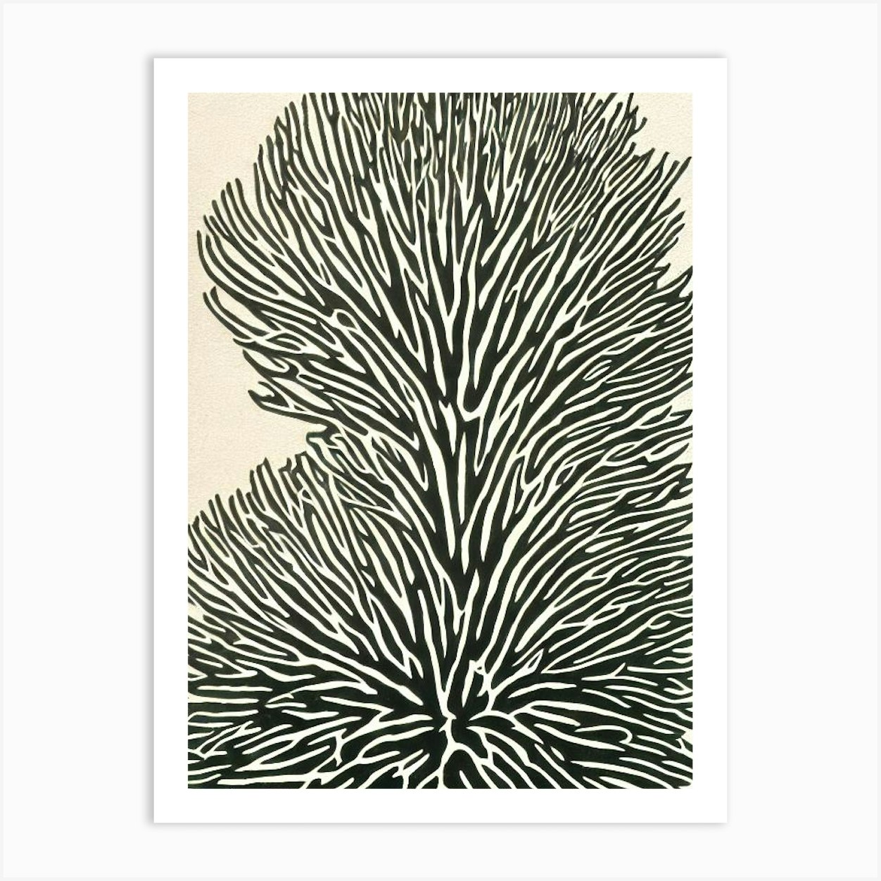 Acropora Muricata Linocut Art Print by Reef Reflections - Fy