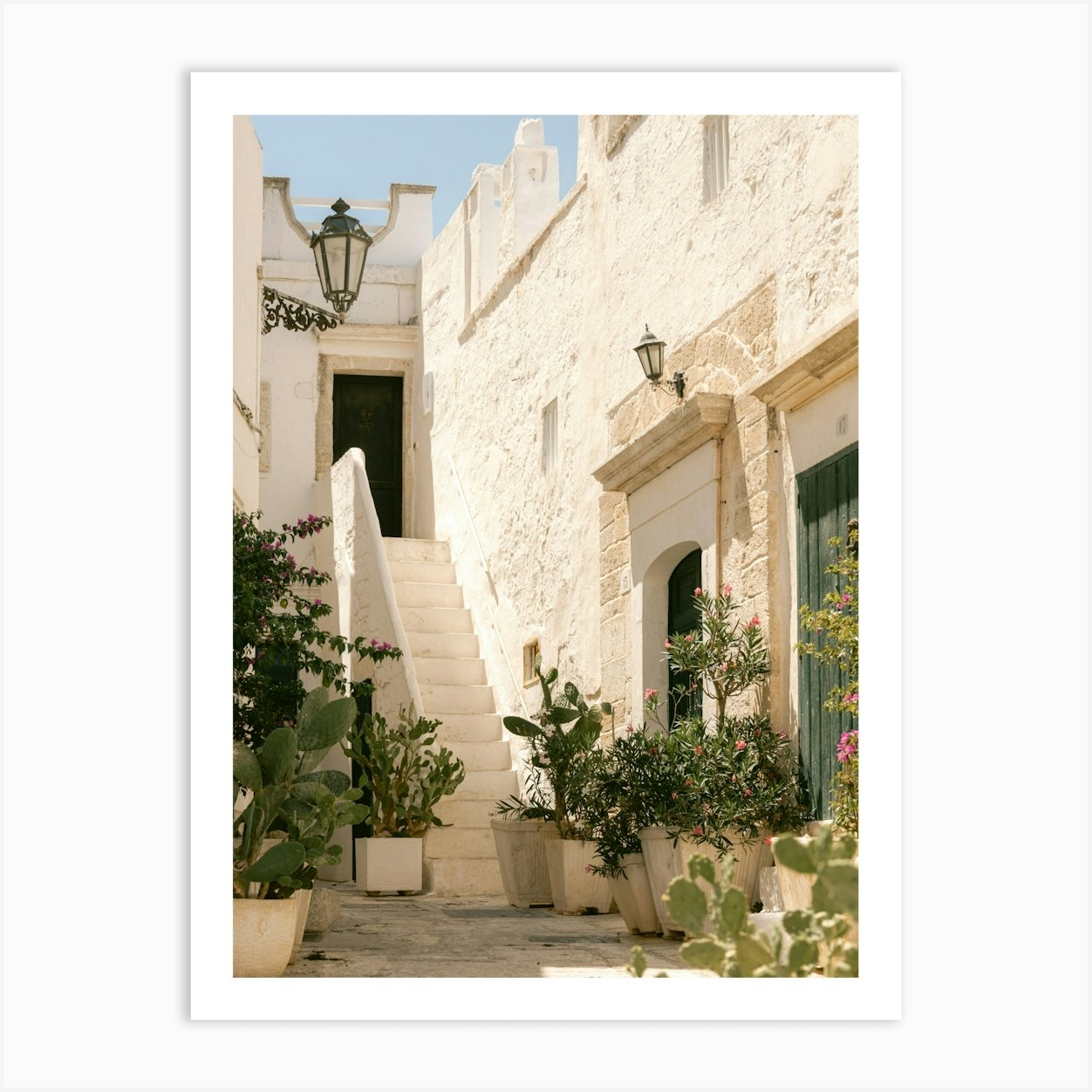 Cactus and plants in typical Italian alley | Puglia | Ostuni | Italy ...