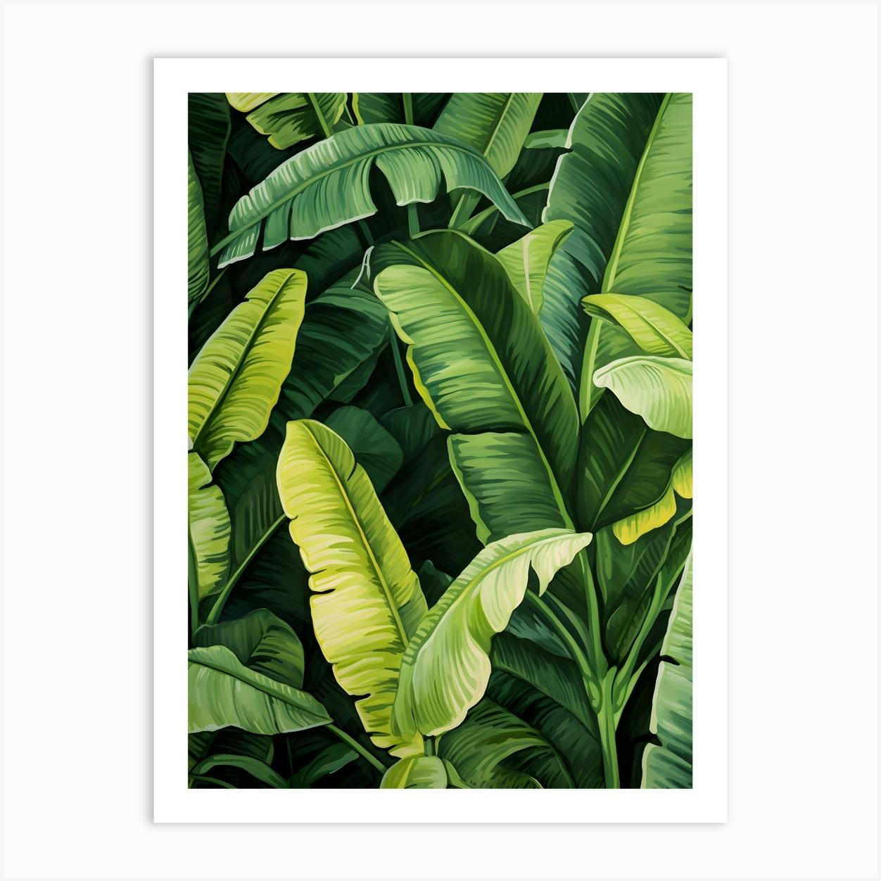 Banana Leaf Painting Canvas outlet Print