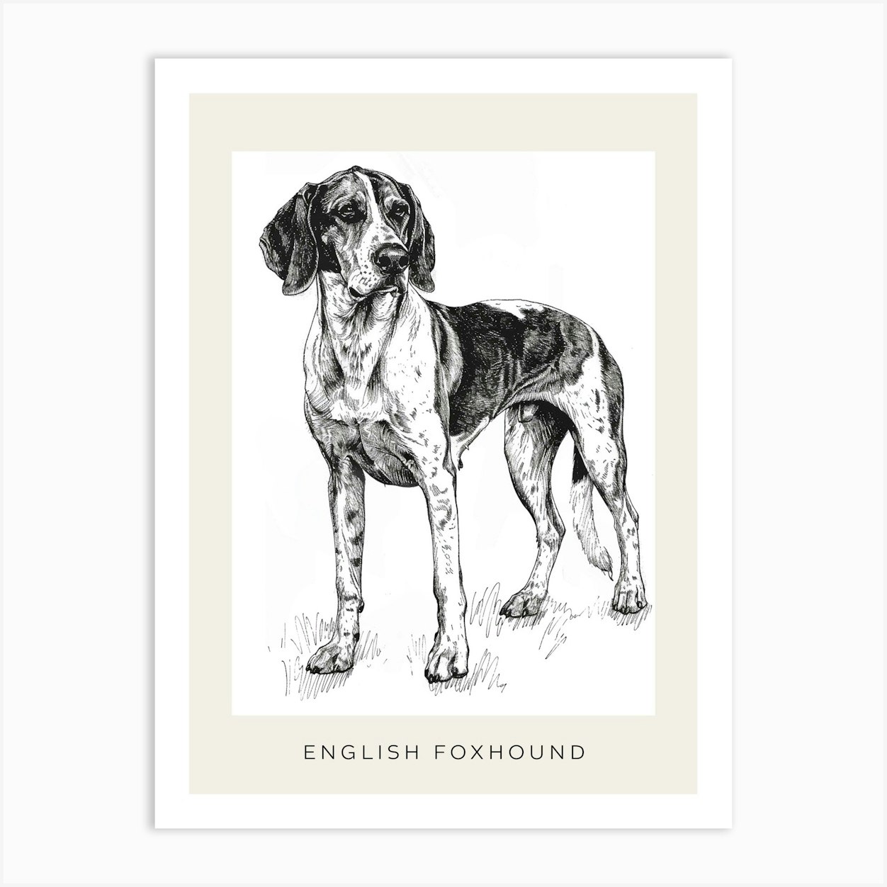 English Foxhound Dog Line Sketch 1 Poster Art Print by Woof and ...