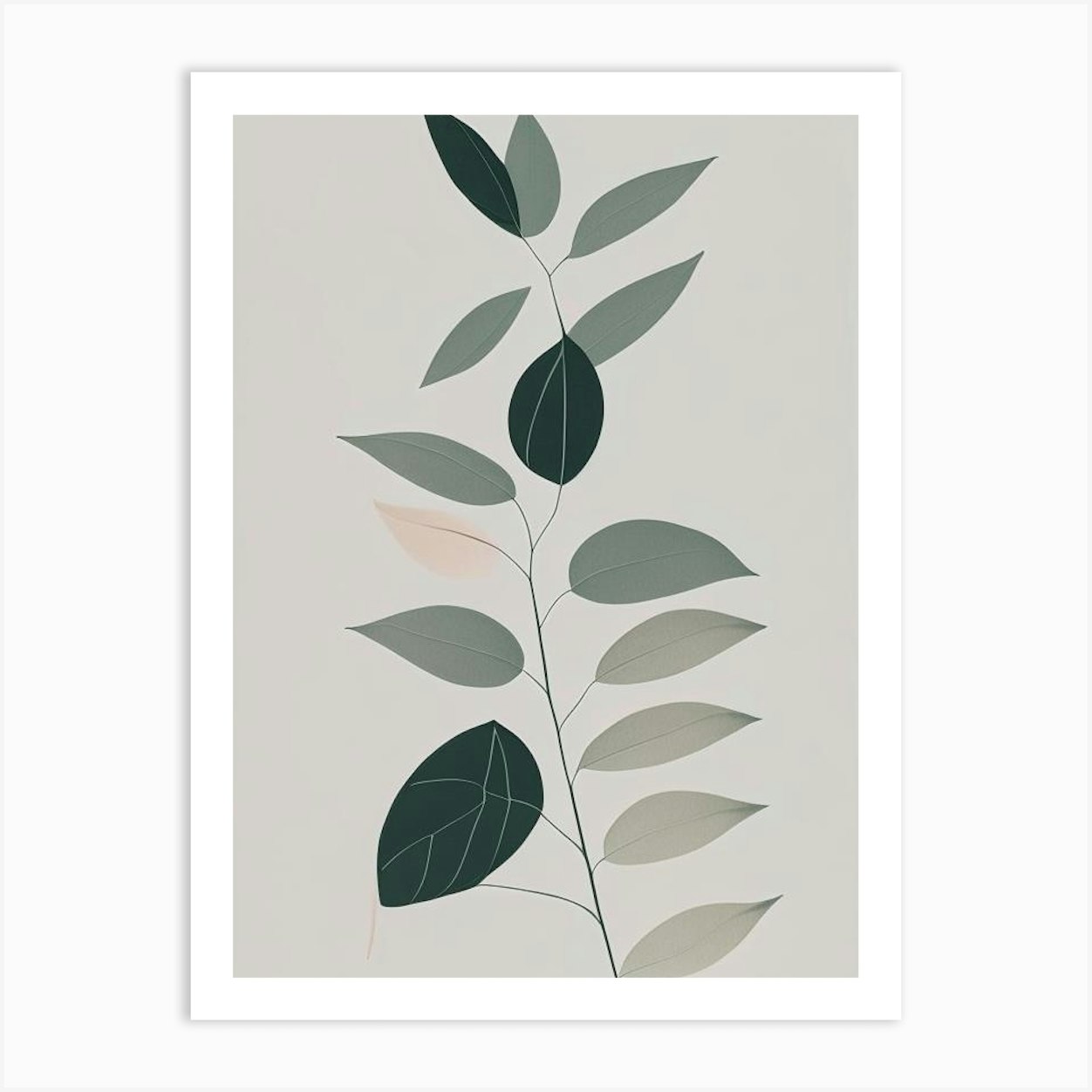 Neem, Herb Simplicity 2 Art Print by Herbaceous Hues - Fy