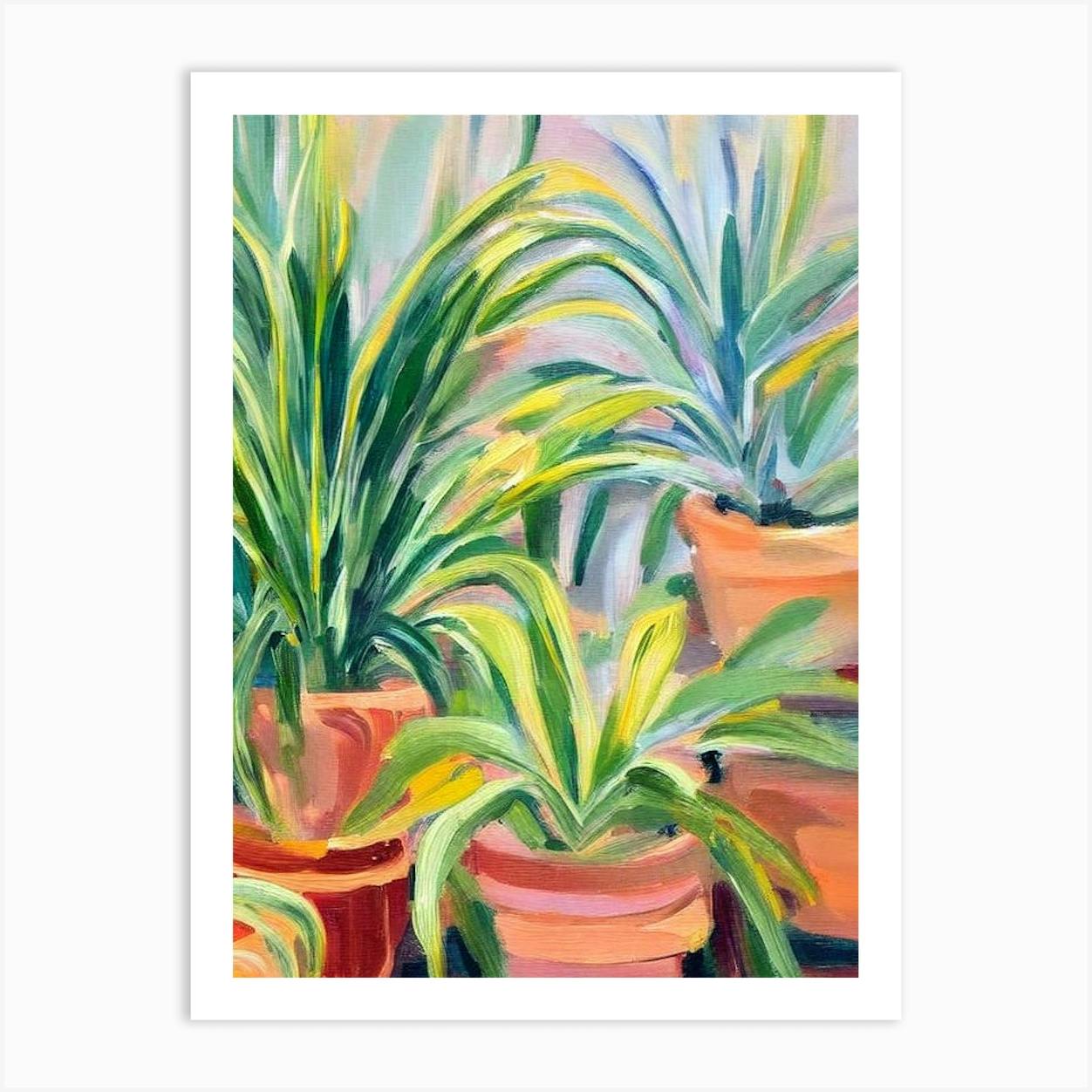 Spider Plant 3 Impressionist Painting Art Print By Bloom Botany Co Fy   33b7fbef 7536 4acc 9aa0 Dc061e2220ee 