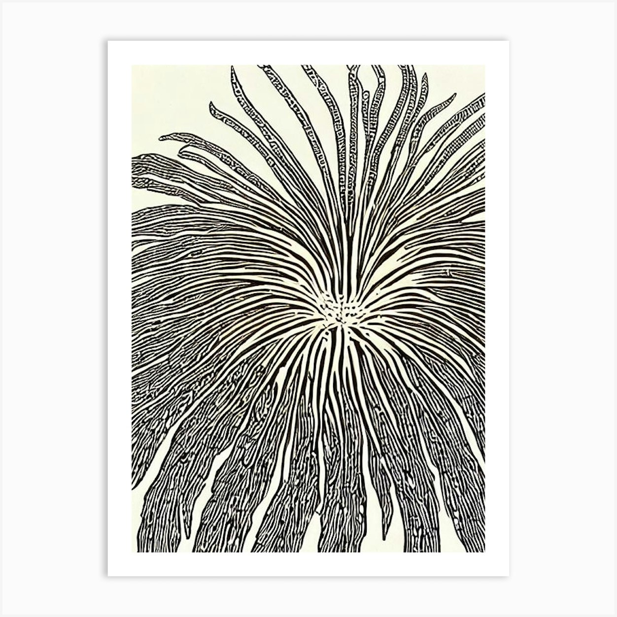 Sea Spider Linocut Art Print by Sea Life Prints - Fy