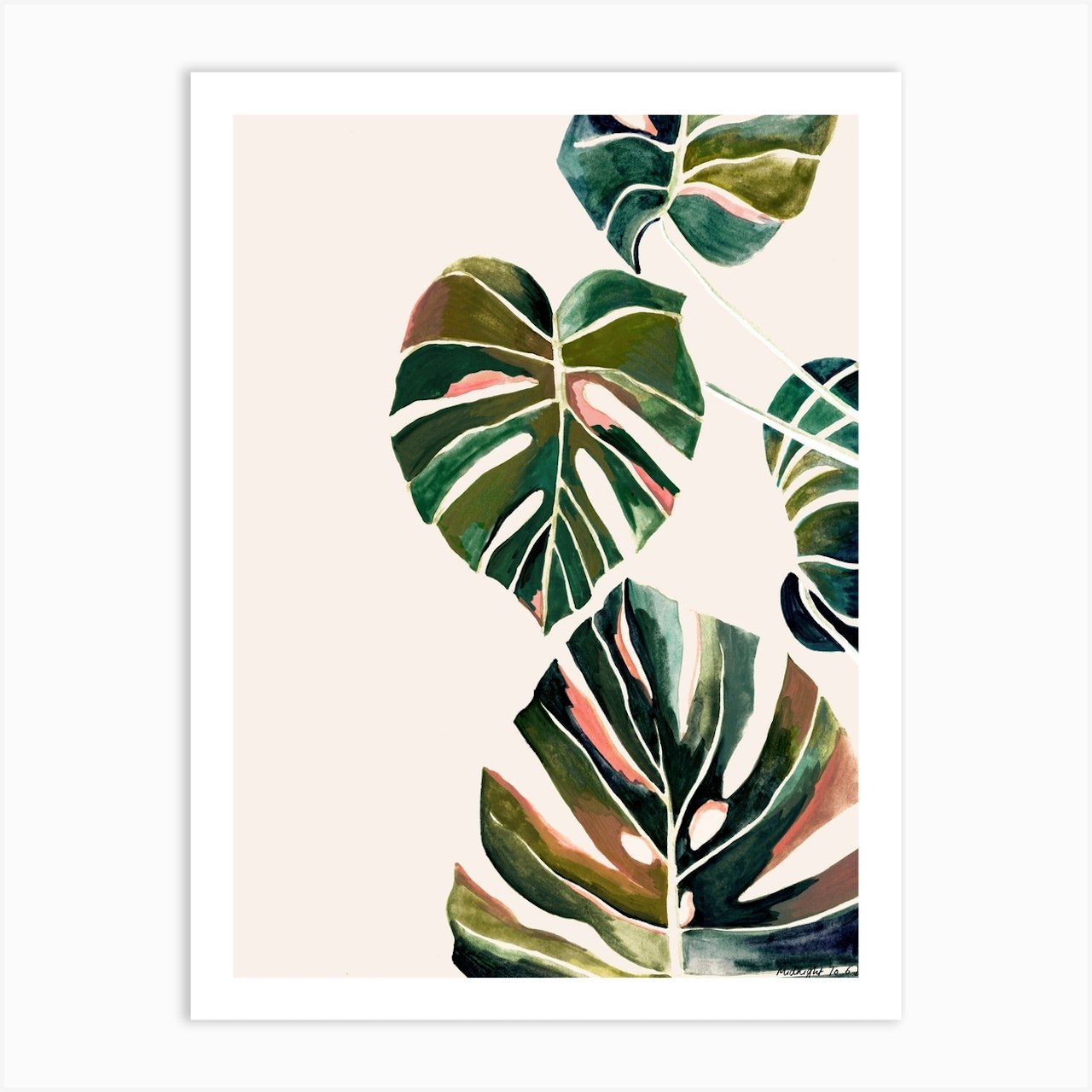 Monstera Art Prints and Posters | Free Shipping | Shop Fy