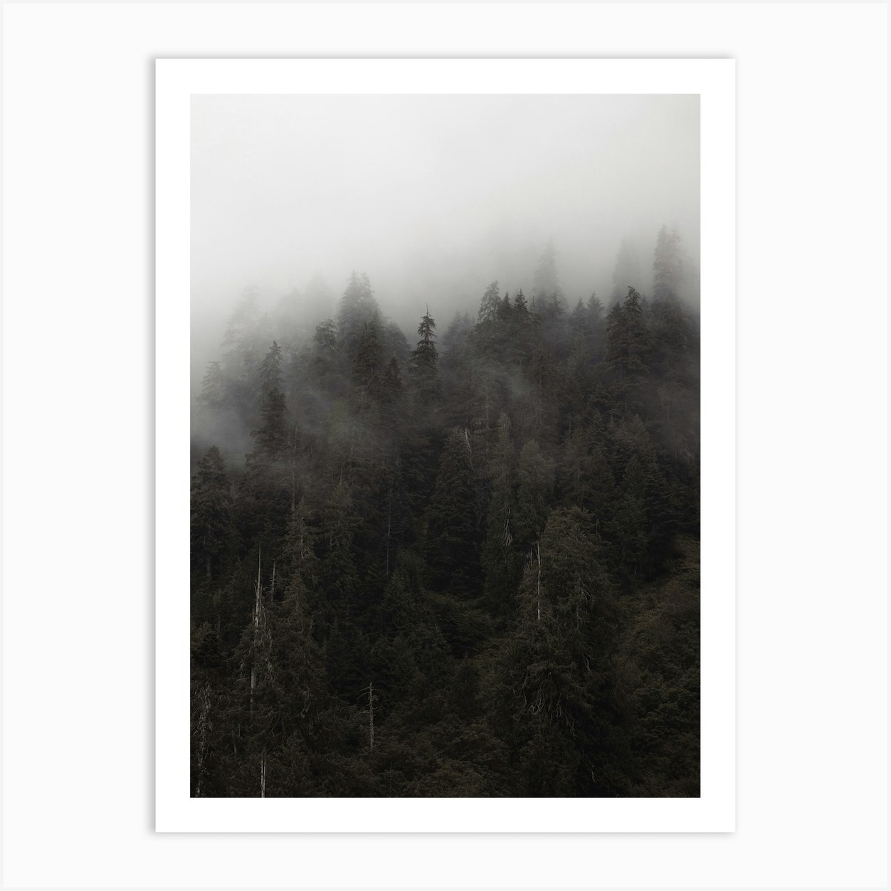 Rugged Foggy Forest Art Print by Western Range - Fy