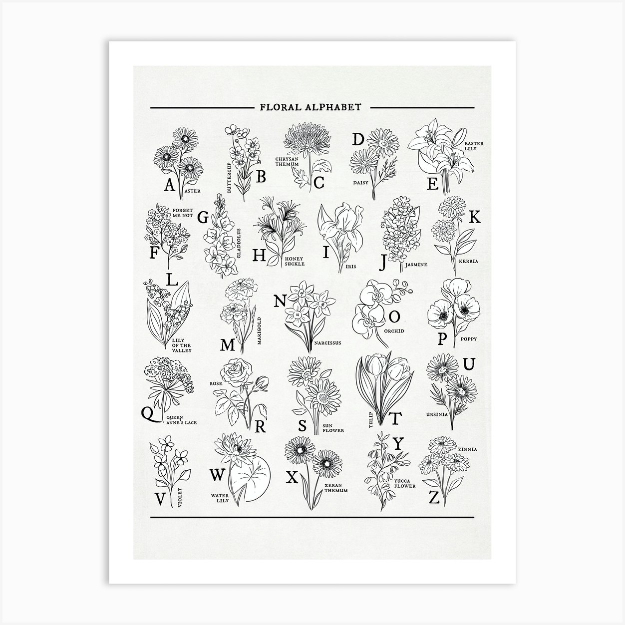 Floral Alphabet Black & White Sketch Art Print by Jande Summer - Fy