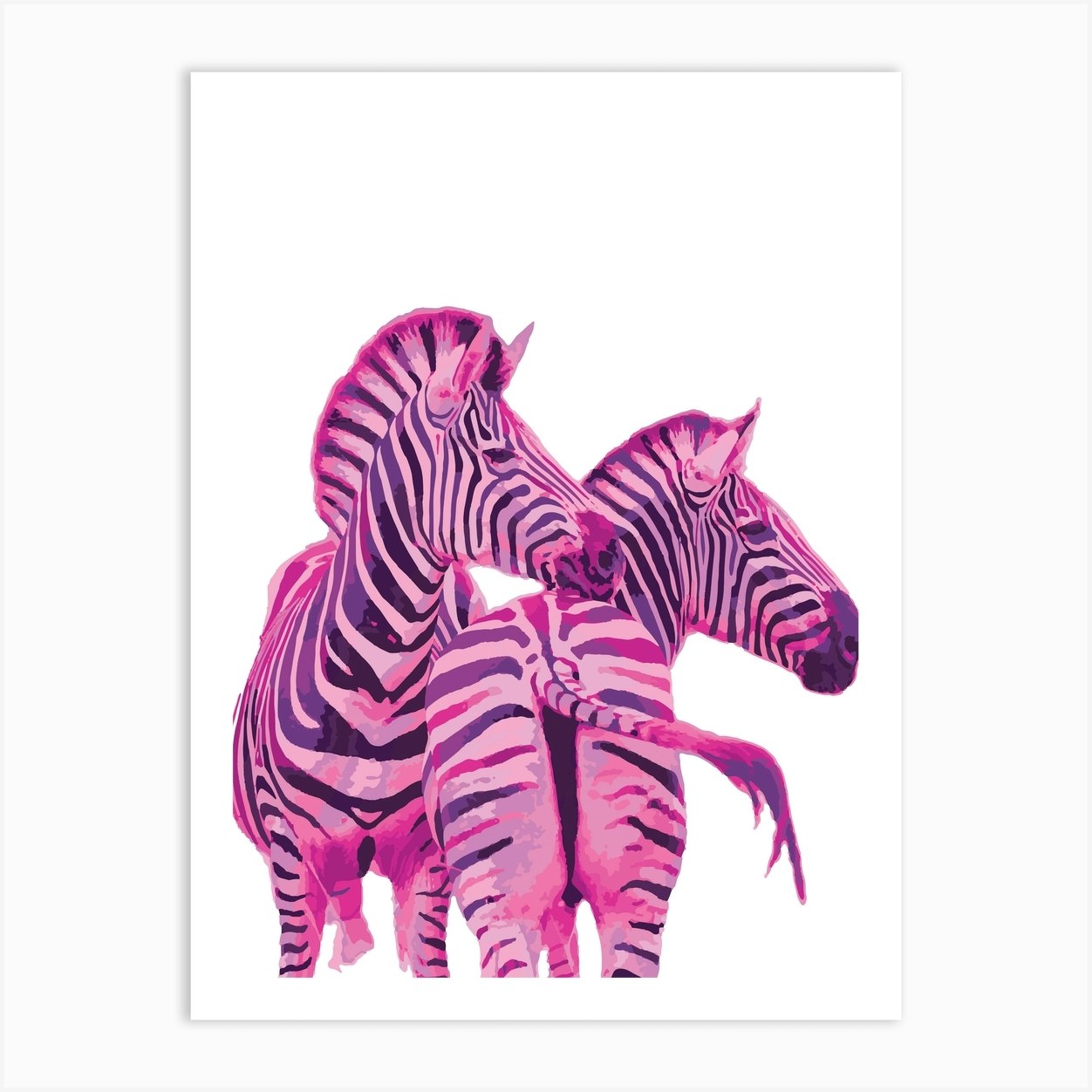 Pink Zebras Art Print by Kt10Designs Fy