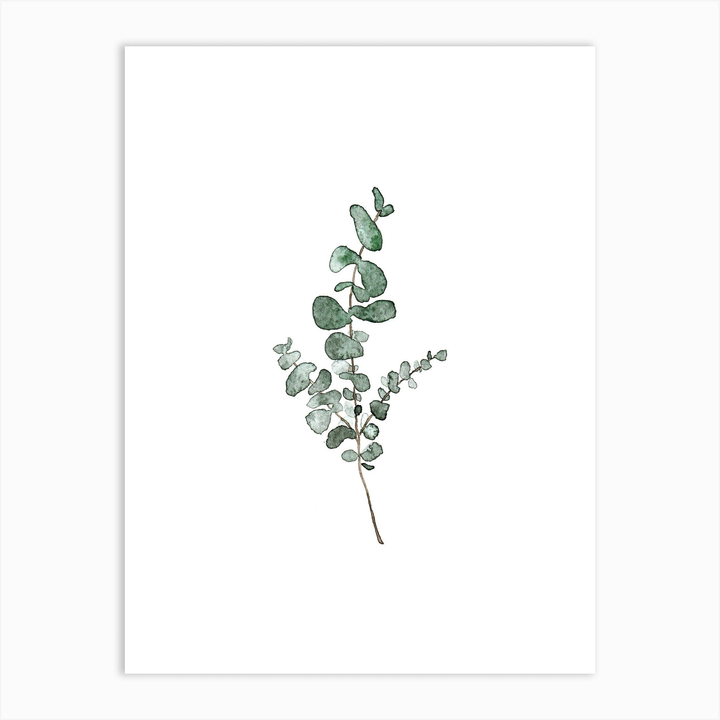 Eucalyptus Art Print by Antonia Jürgens - Fy