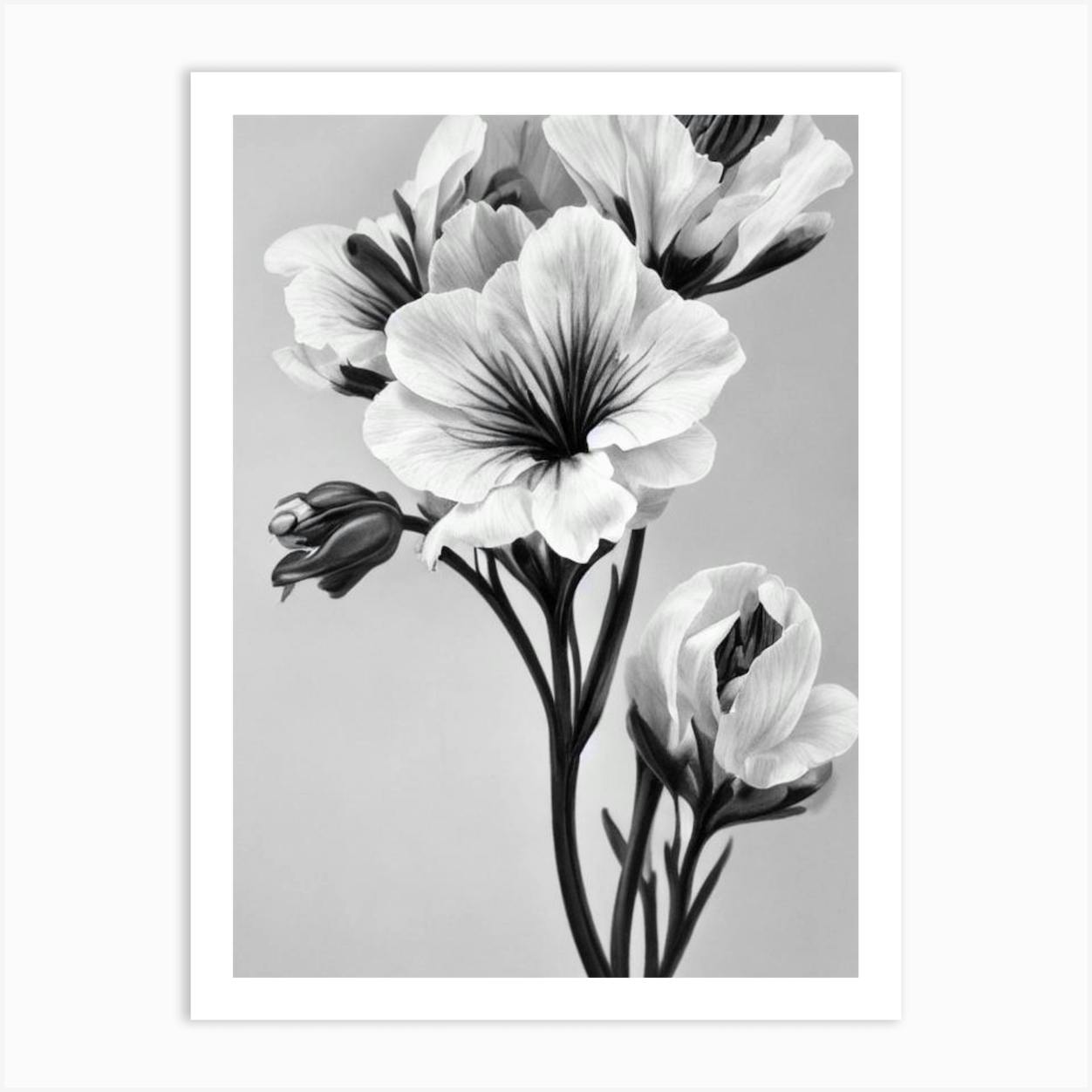 Snapdragons B&W Pencil 3 Flower Art Print By The Artsy Florist - Fy