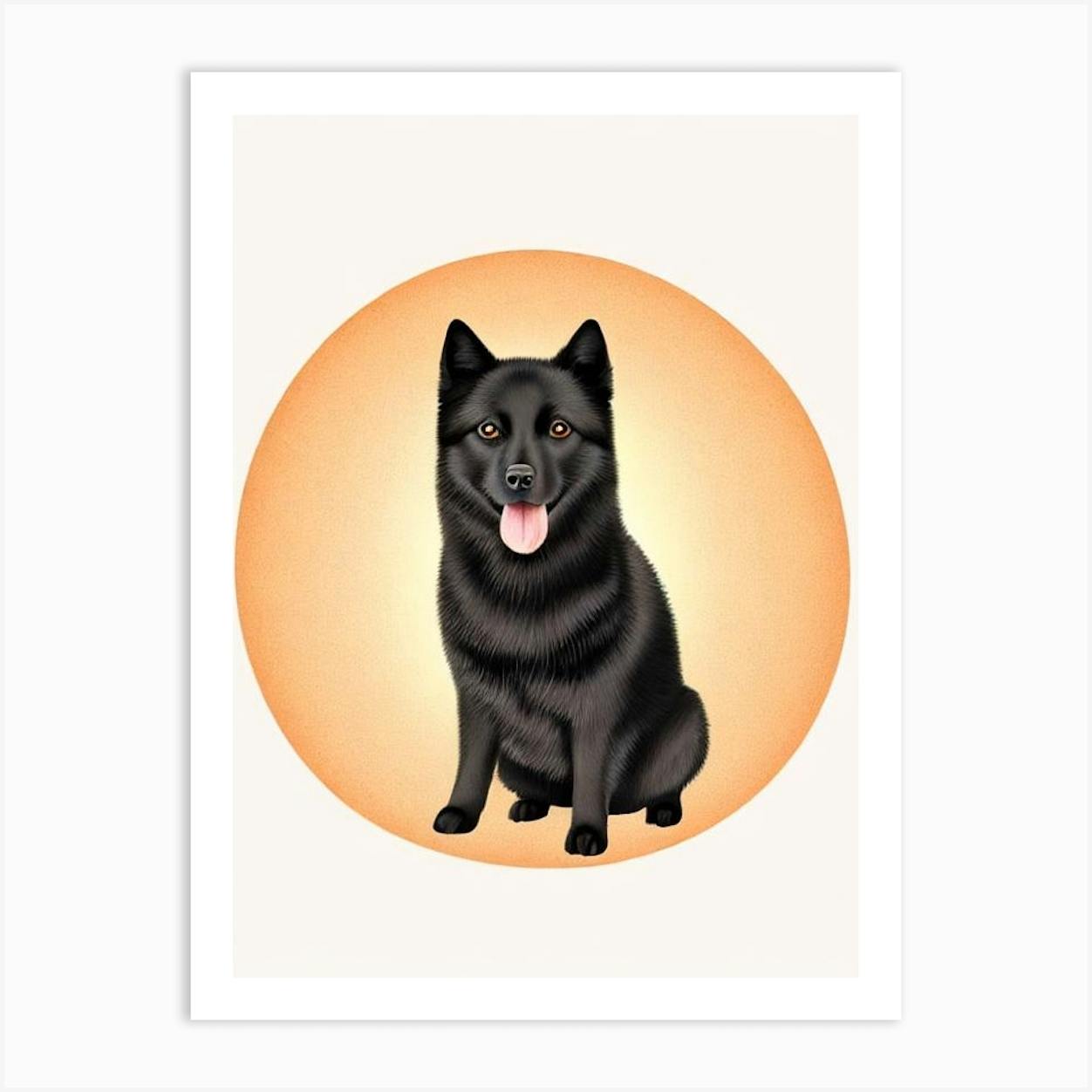 Schipperke art hot sale