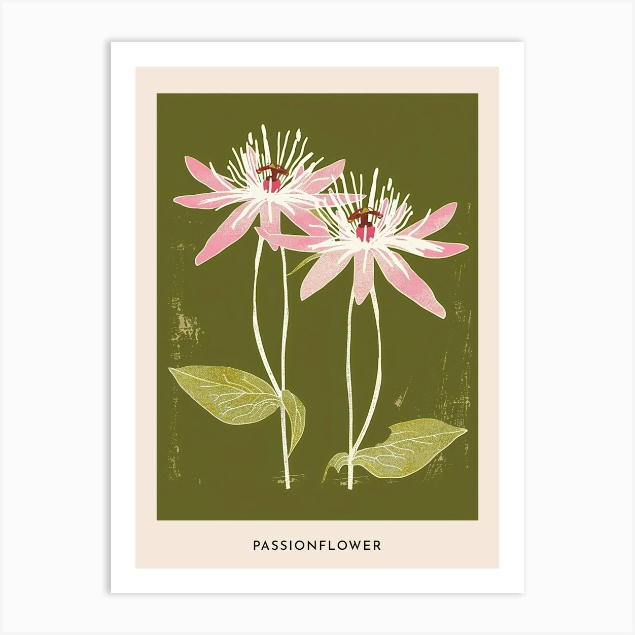 Pink & Green Passionflower 3 Flower Poster Art Print by Botanic Studio - Fy