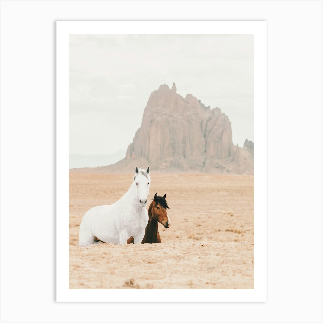 Wild Horses In Shiprock New Mexico Art Print by Golden Saguaro - Fy