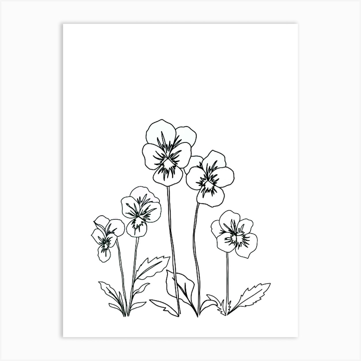 Violet Drawing Art Print by DaphneRosa Fy