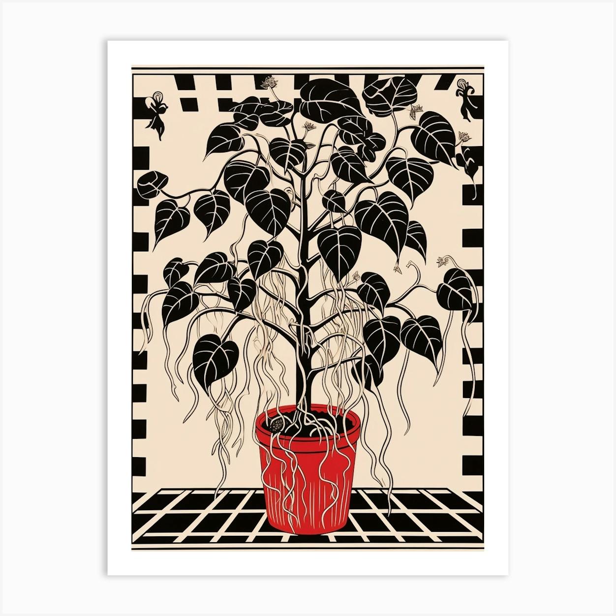 B&W Plant Illustration Rubber Plant Ficus 3 Art Print By Botanic Studio ...