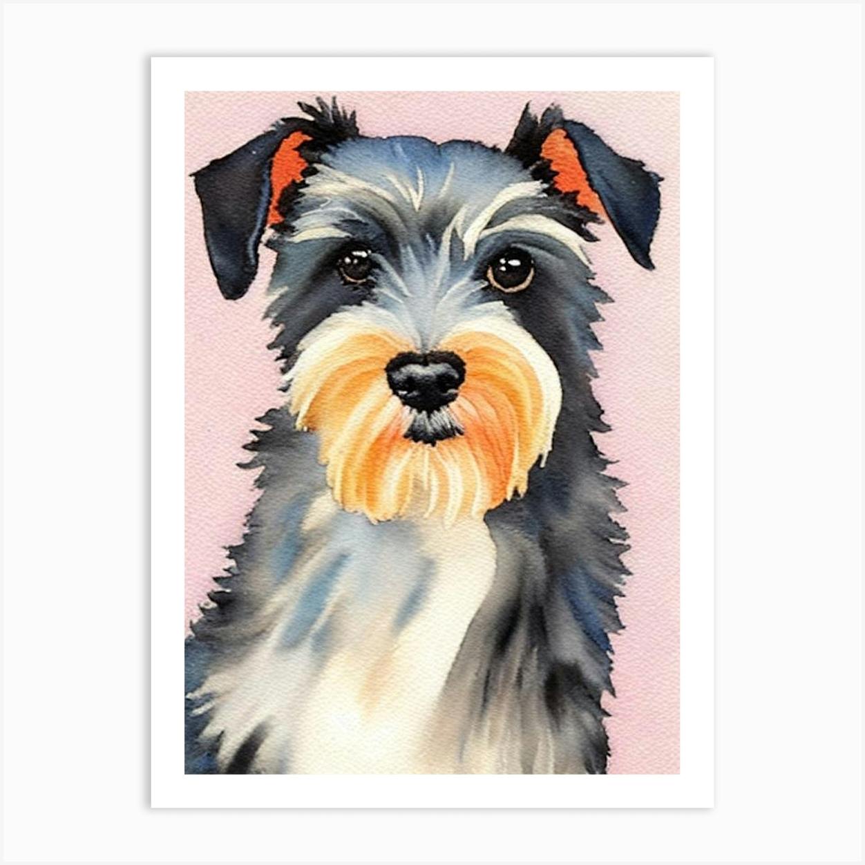 Schnauzer 2024 bichon cross