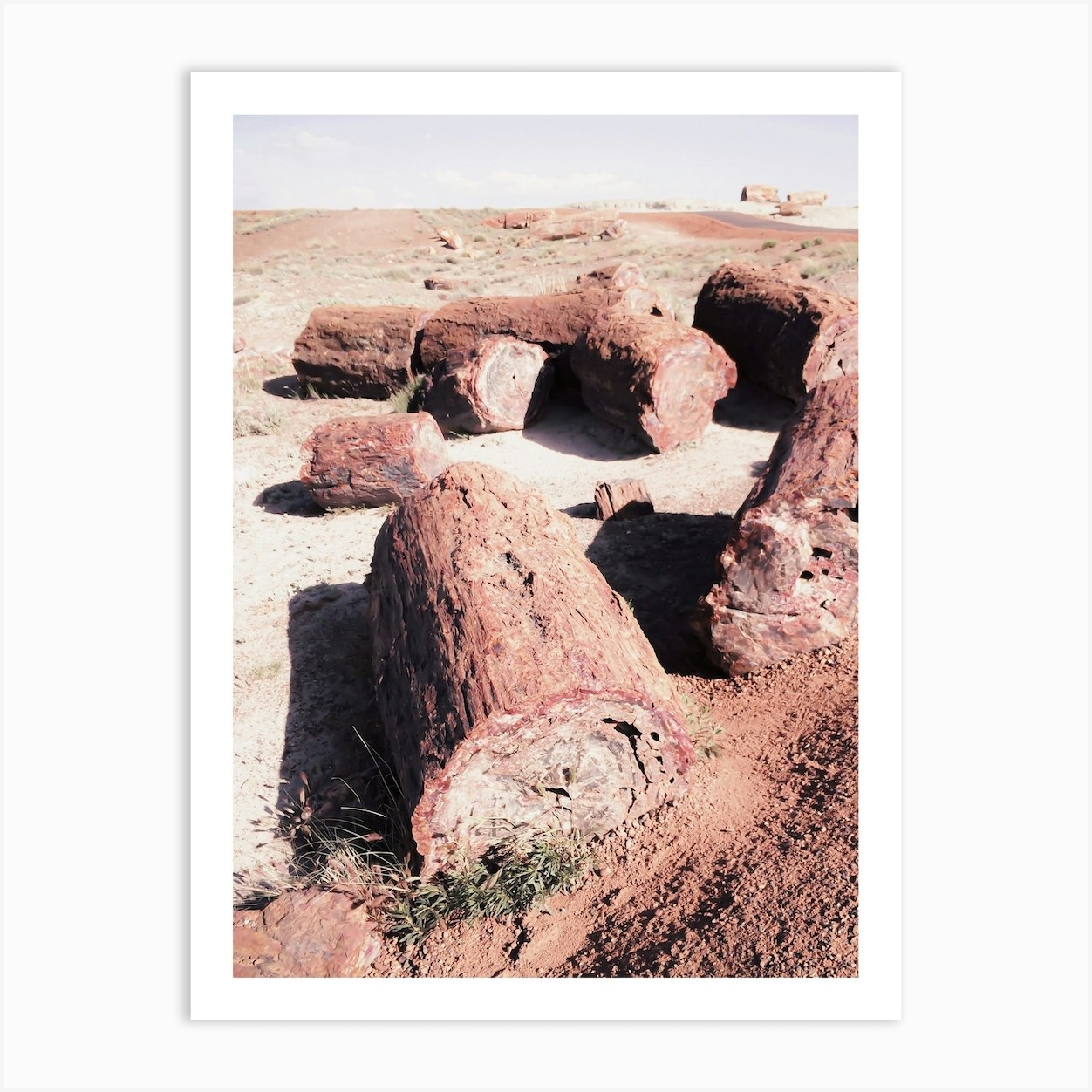 Petrified Wood Art Print by Boheme At Home - Fy