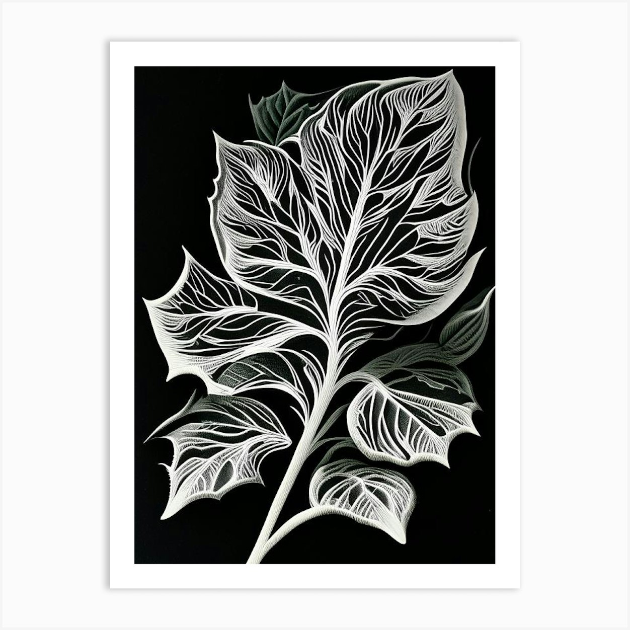 Lime Leaf Linocut 2 Art Print by Leaf & Stem Studio Fy