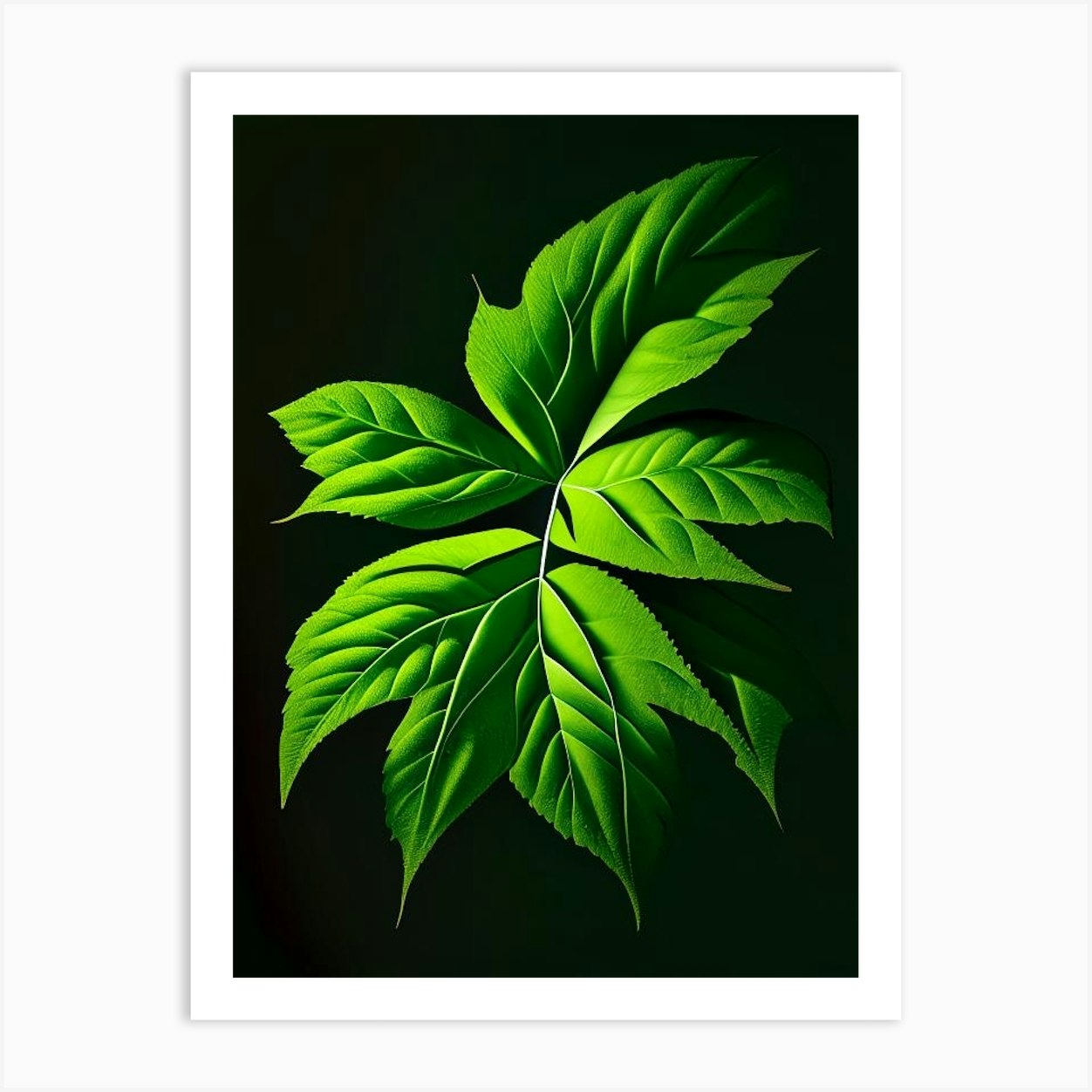 Snakeroot Leaf Vibrant Inspired 2 Art Print by Leaf & Stem Studio Fy