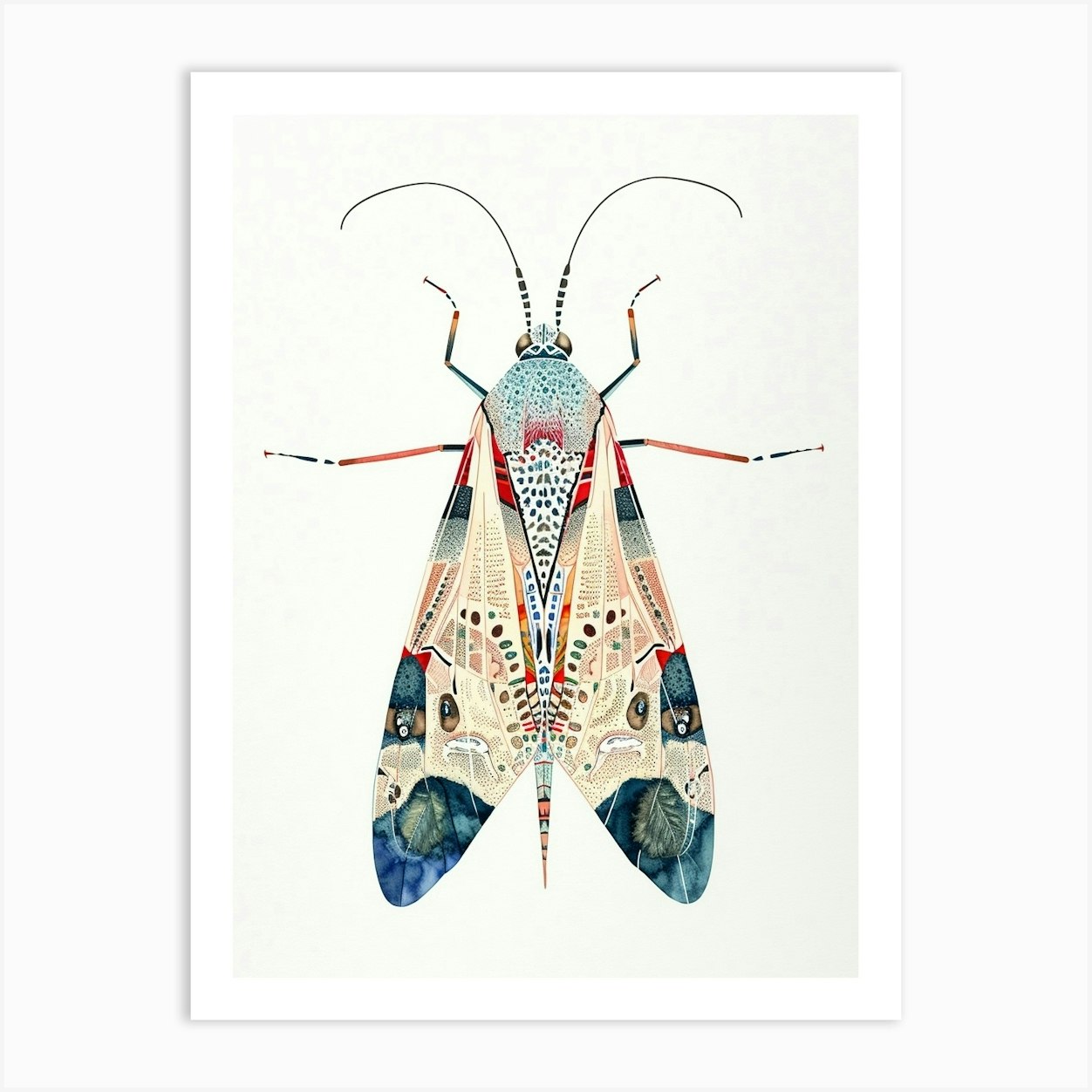 Colourful Insect Illustration Lacewing 17 Art Print by Ritual Art ...