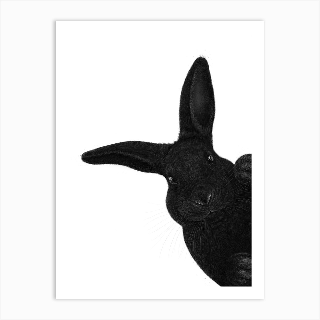 Black Bunny Art Print by Valeriya Korenkova - Fy