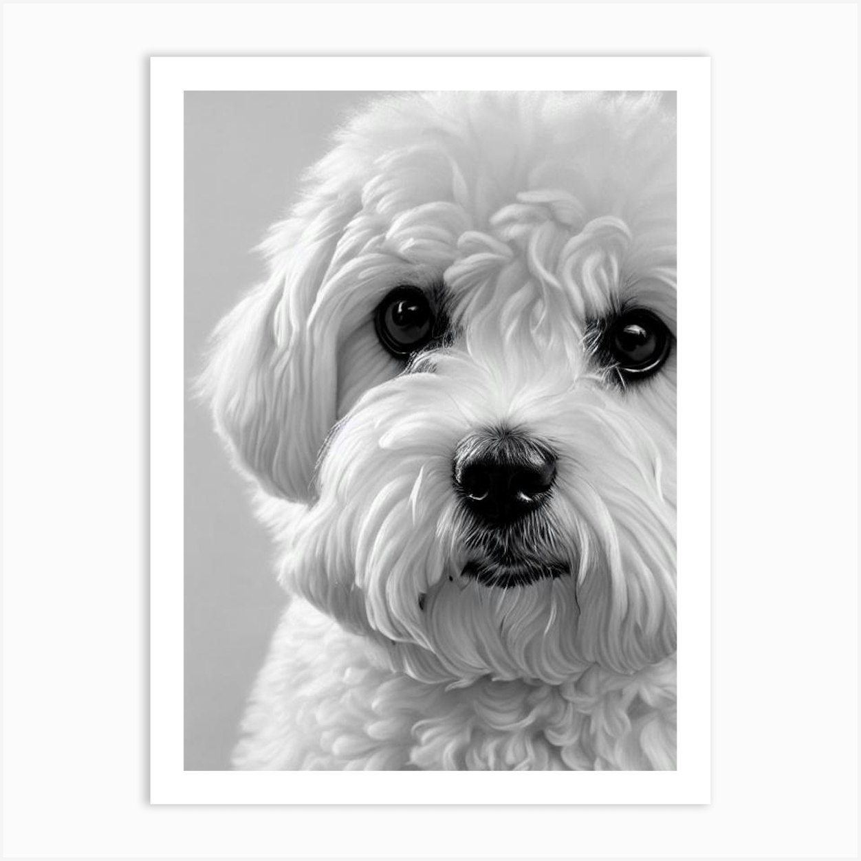 Bichon Frise B&W Pencil Dog Art Print by Pooch Prints - Fy