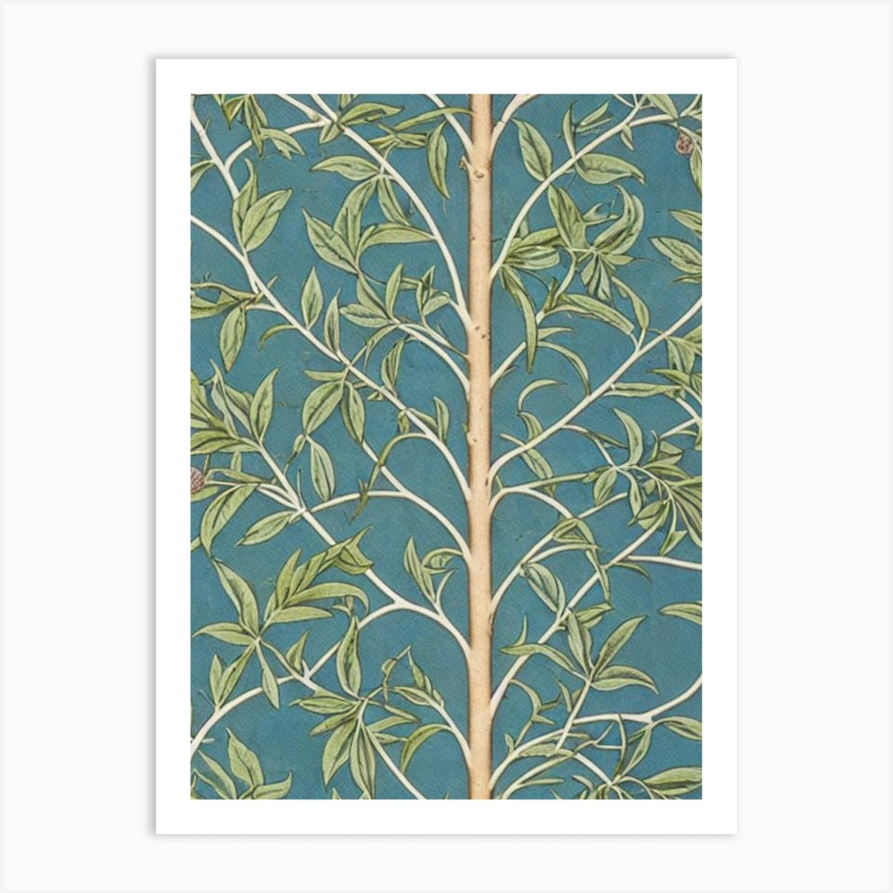 Nutmeg Hickory tree Vintage Botanical Art Print by Arboreal Impressions Fy