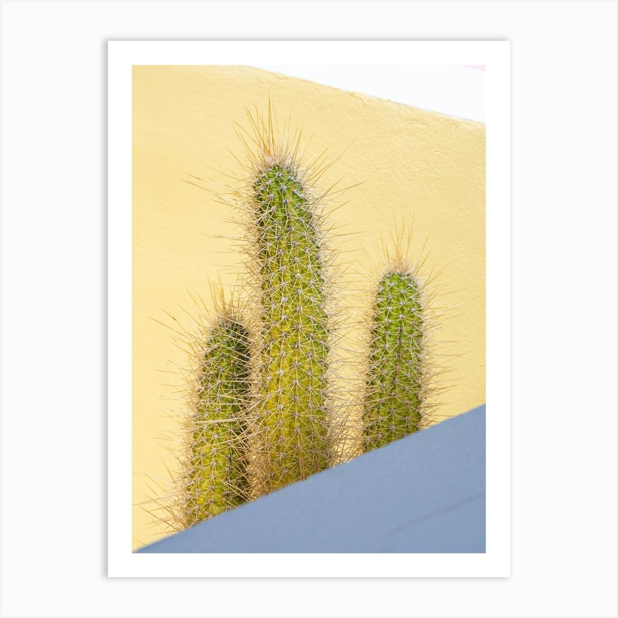 Cactus in front of pastel yellow wall Art Print by Jenine Blanchemanche Fy
